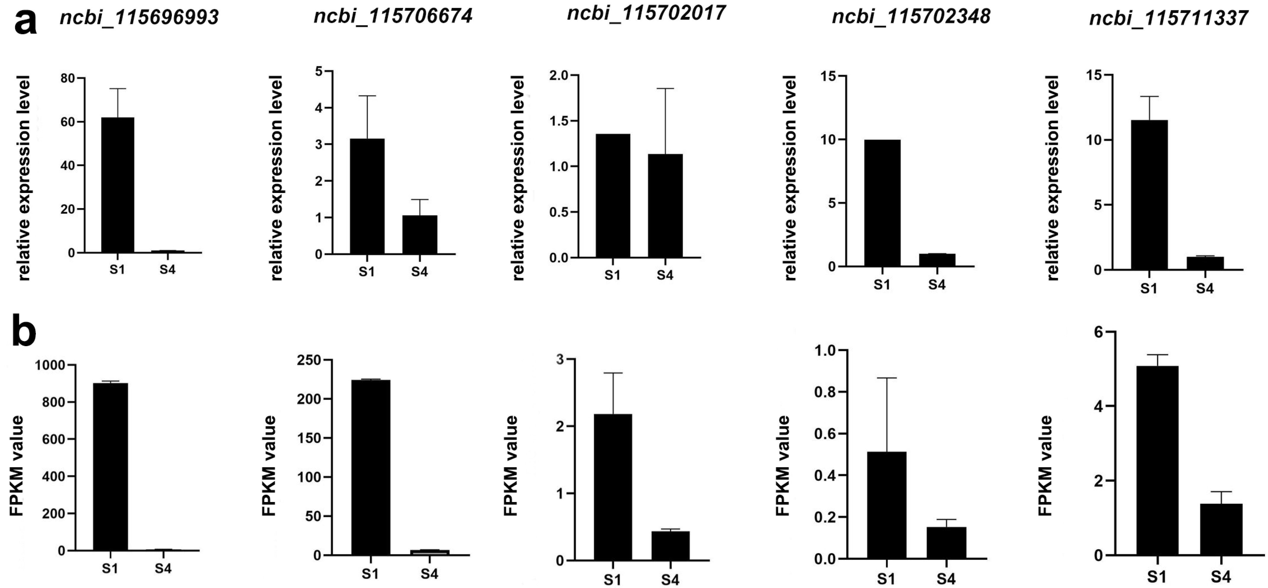 Agronomy 14 00787 g009