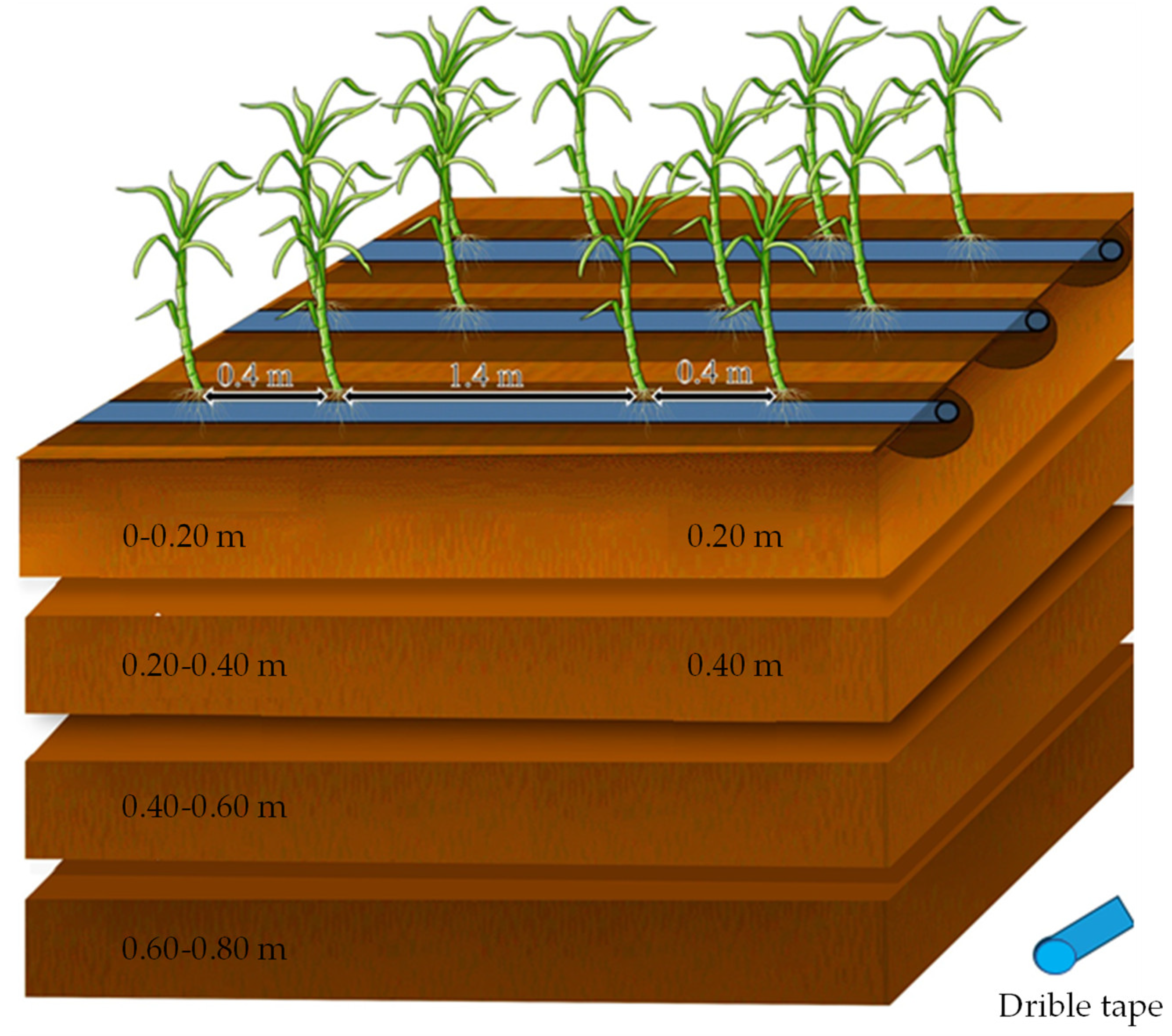 Agronomy 14 00788 g003 Agronomy 14 00788 g003