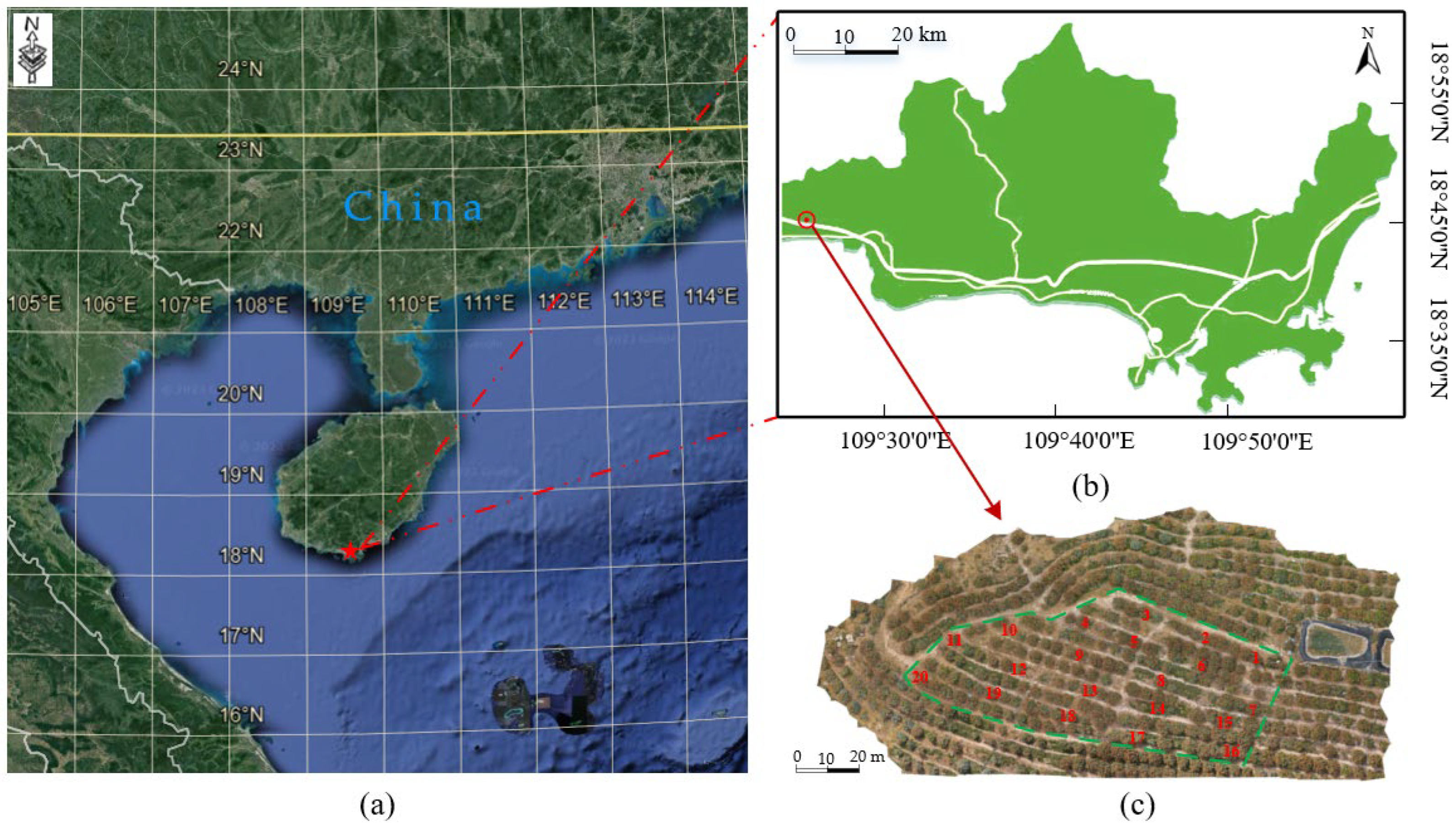 Agronomy 14 00795 g001