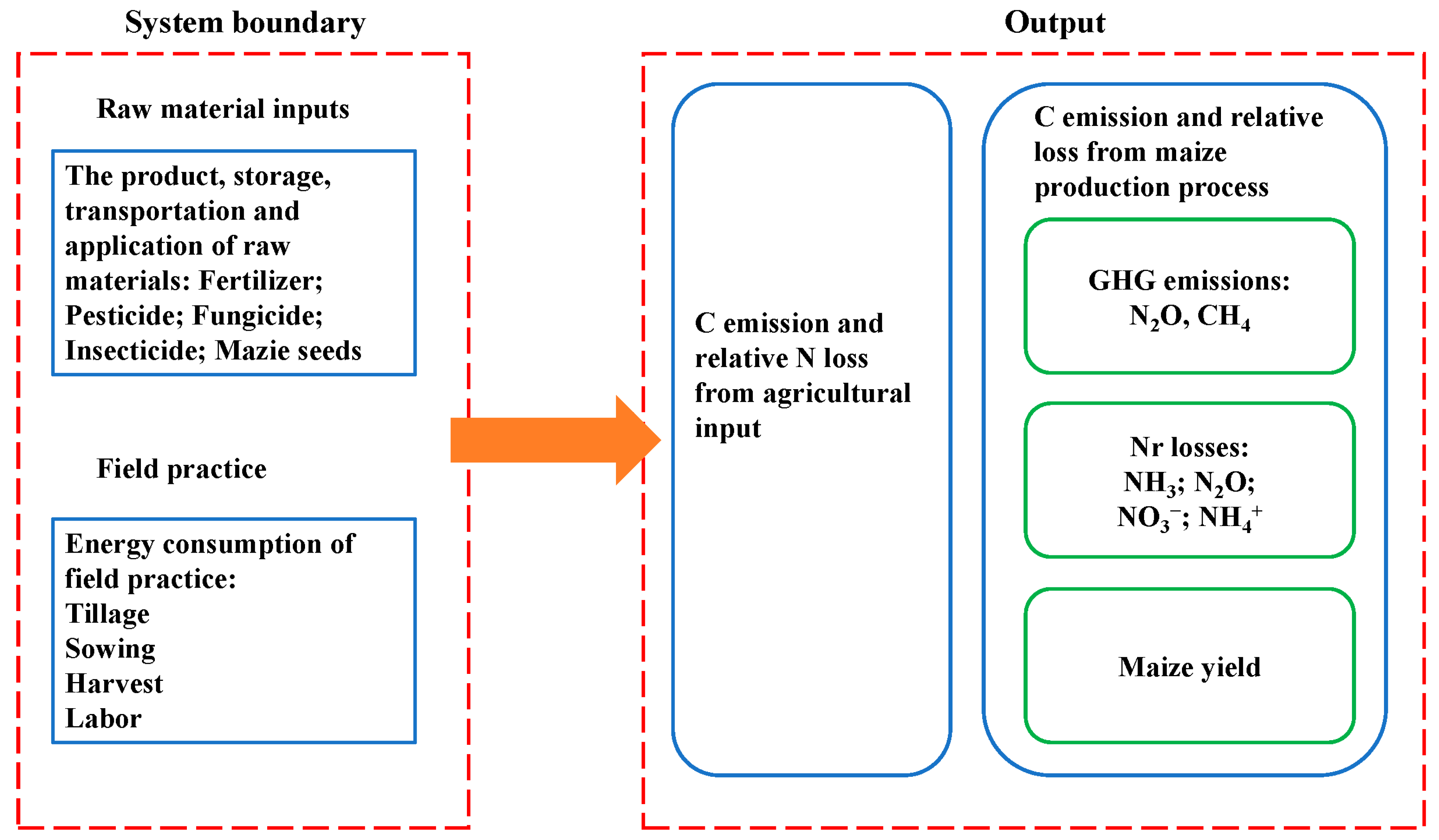 Influence of the Depth of Nitrogen-Phosphorus Fertilizer Placement 