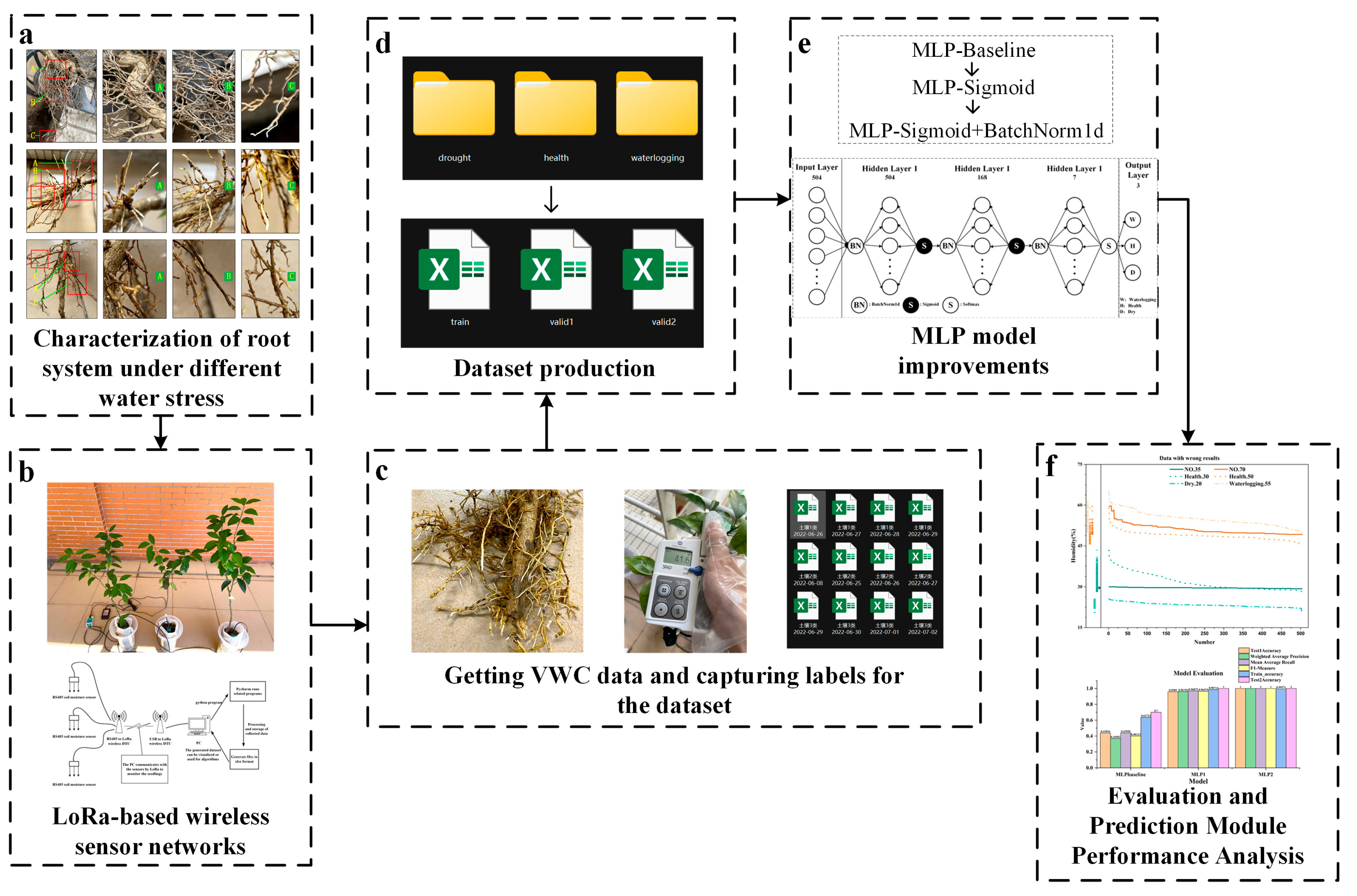 Agronomy 14 00808 g001