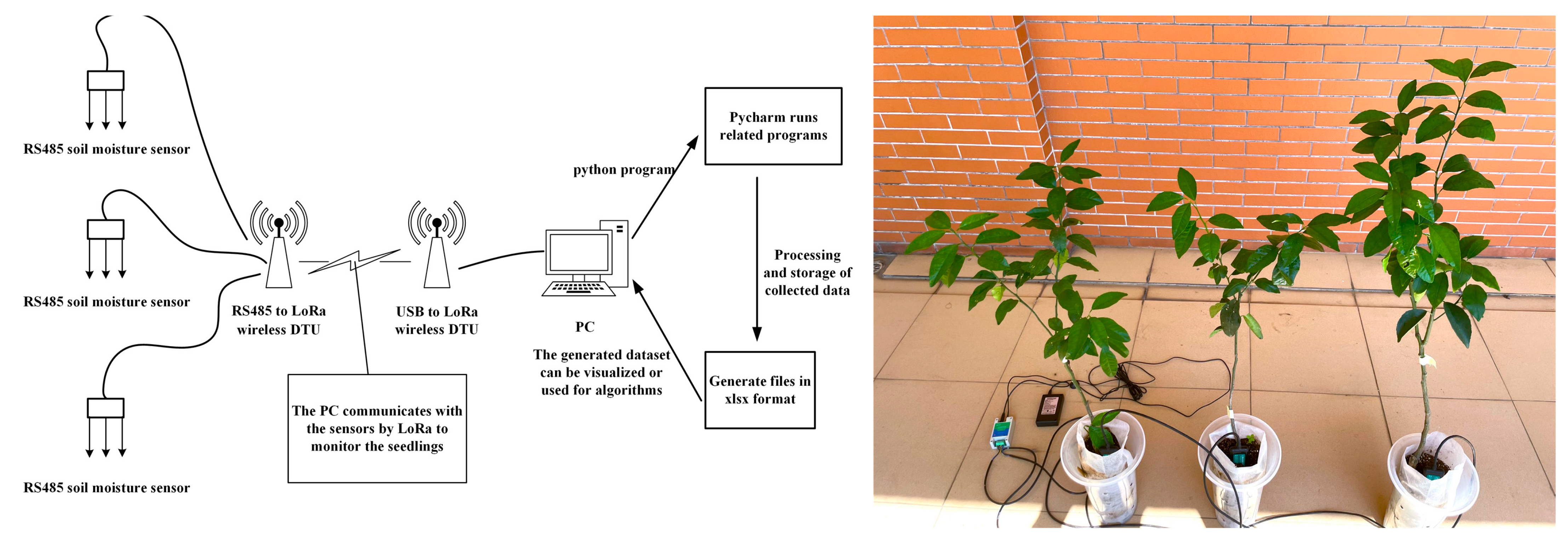 Agronomy 14 00808 g002
