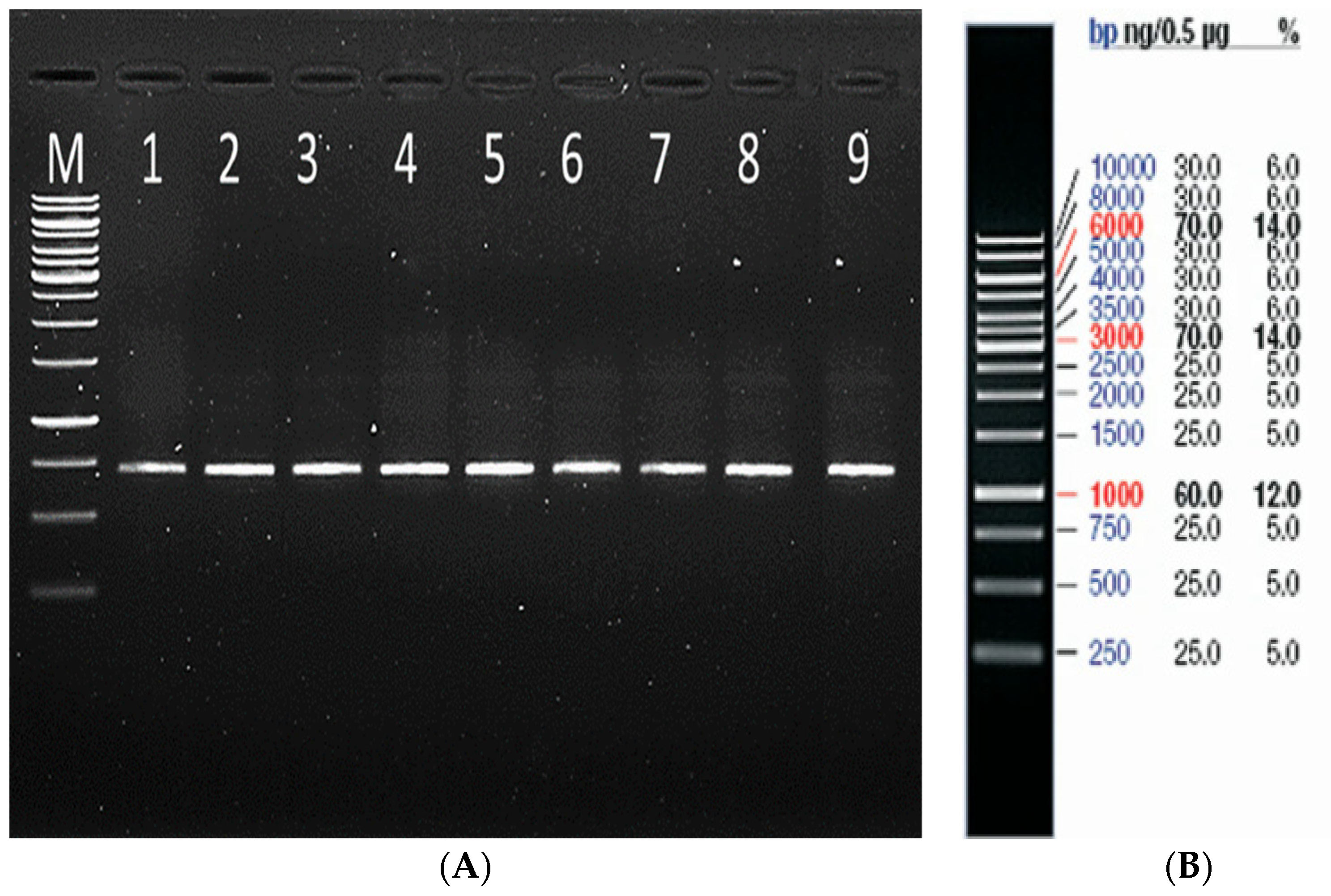 Agronomy 14 00809 g003 Agronomy 14 00809 g003