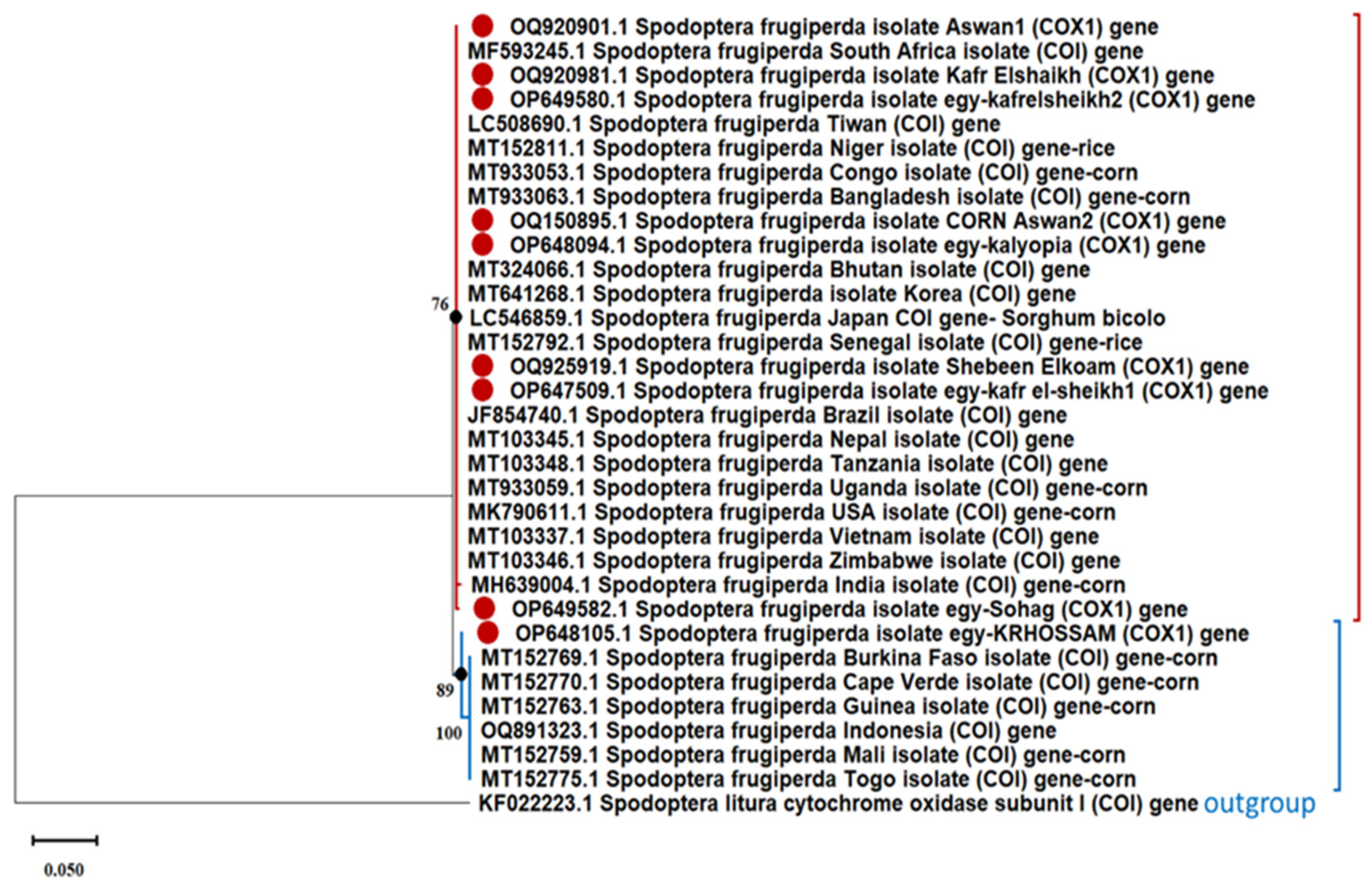 Agronomy 14 00809 g004 Agronomy 14 00809 g004