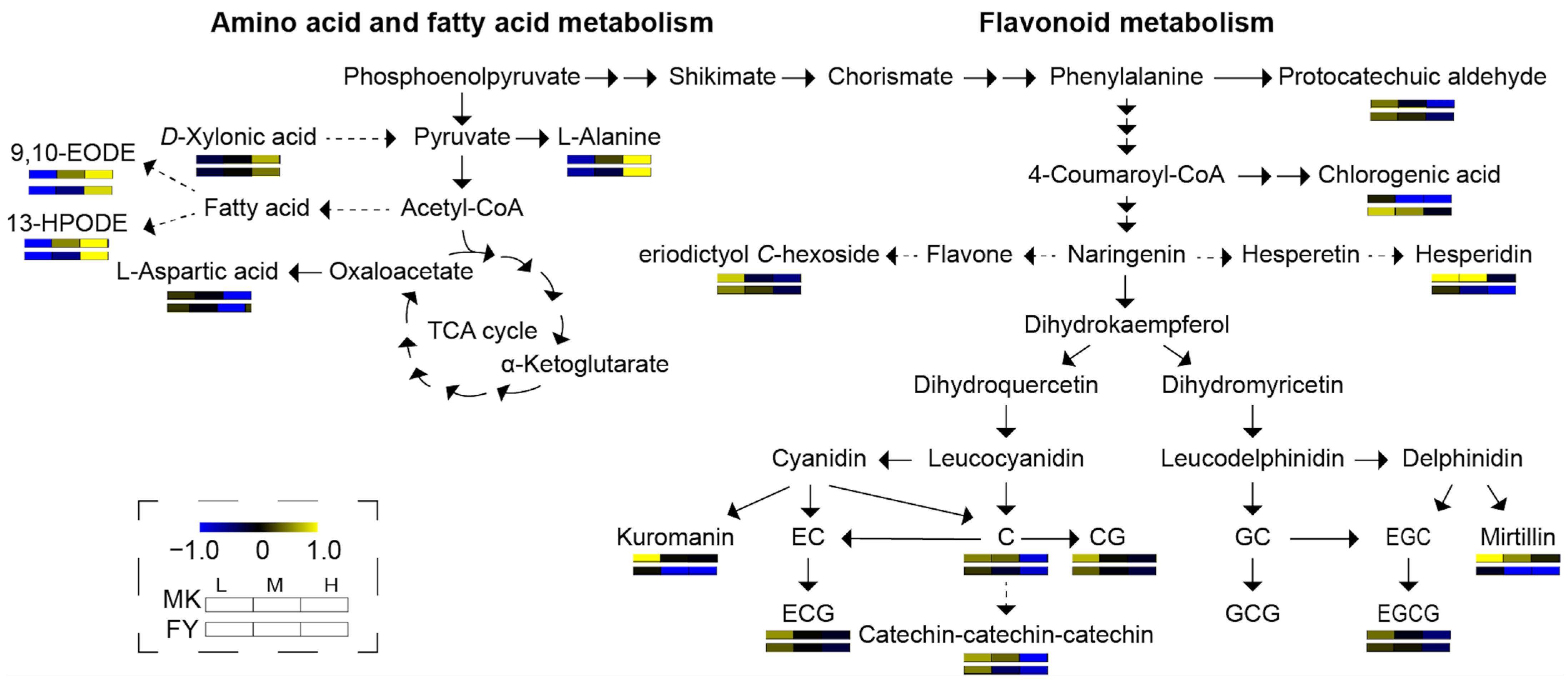 Agronomy 14 00812 g003
