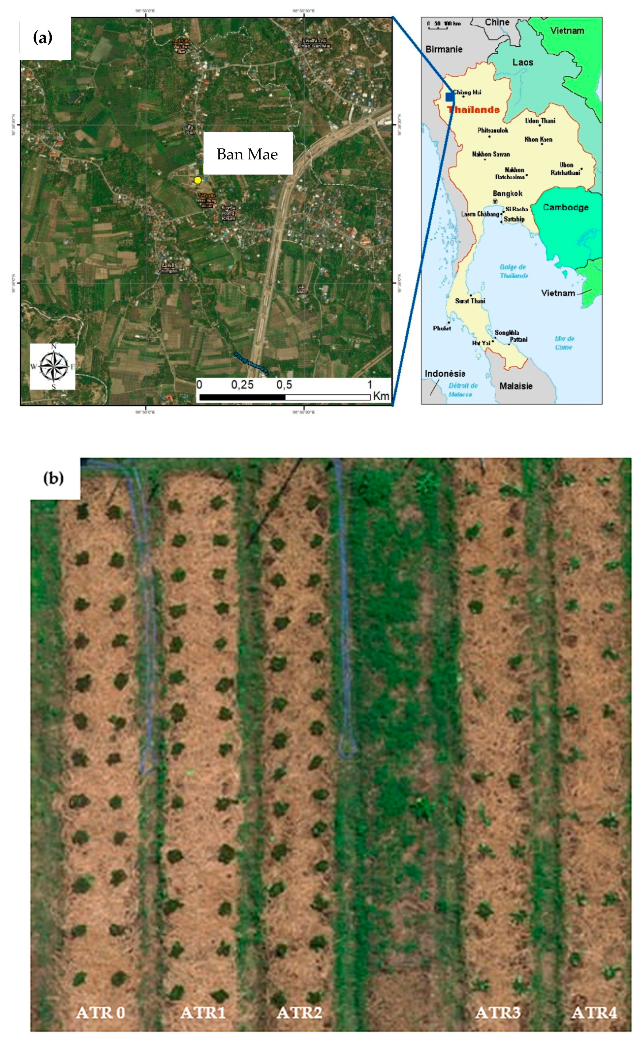 Agronomy 14 00814 g001