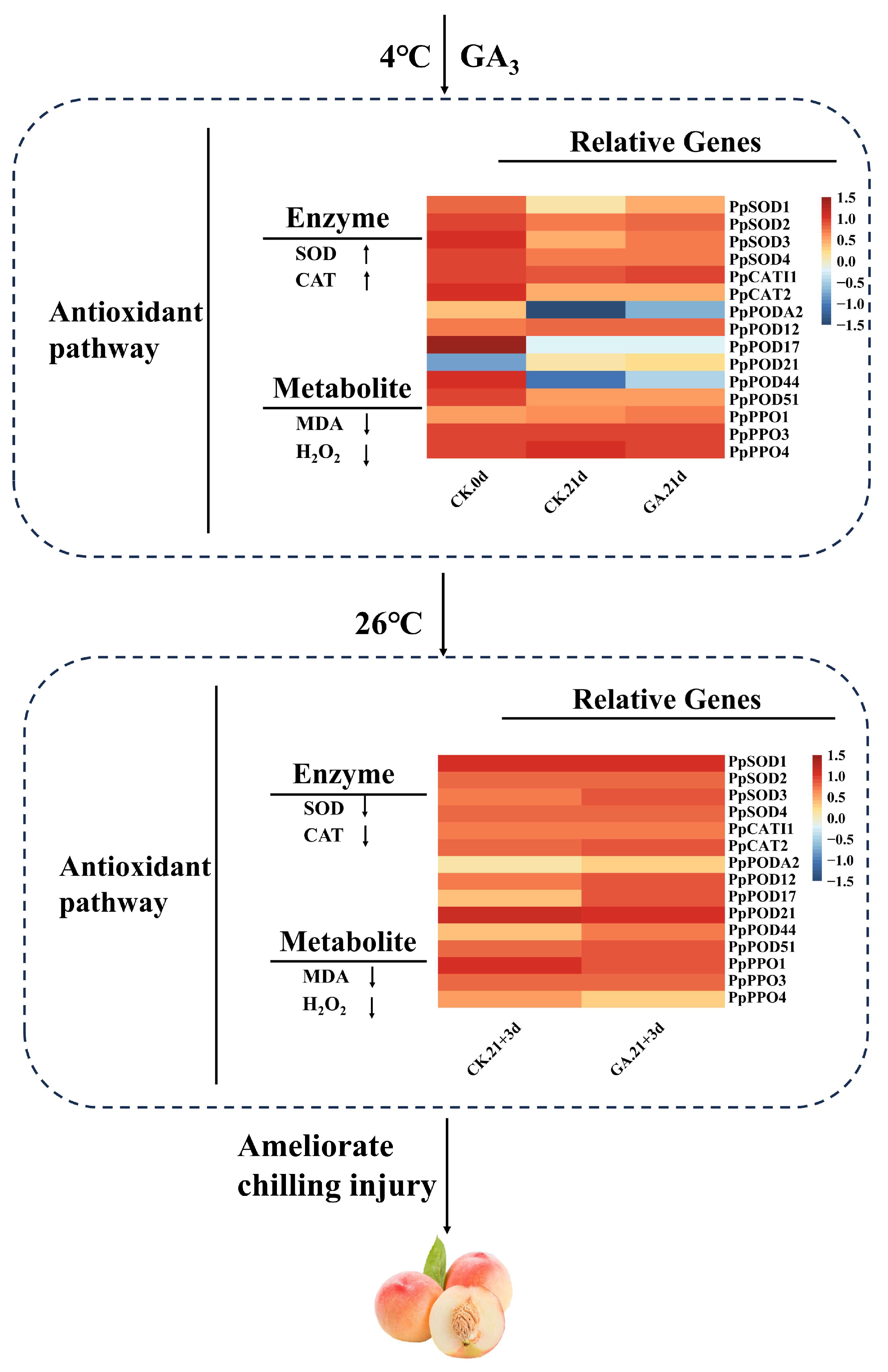 Agronomy 14 00816 g006