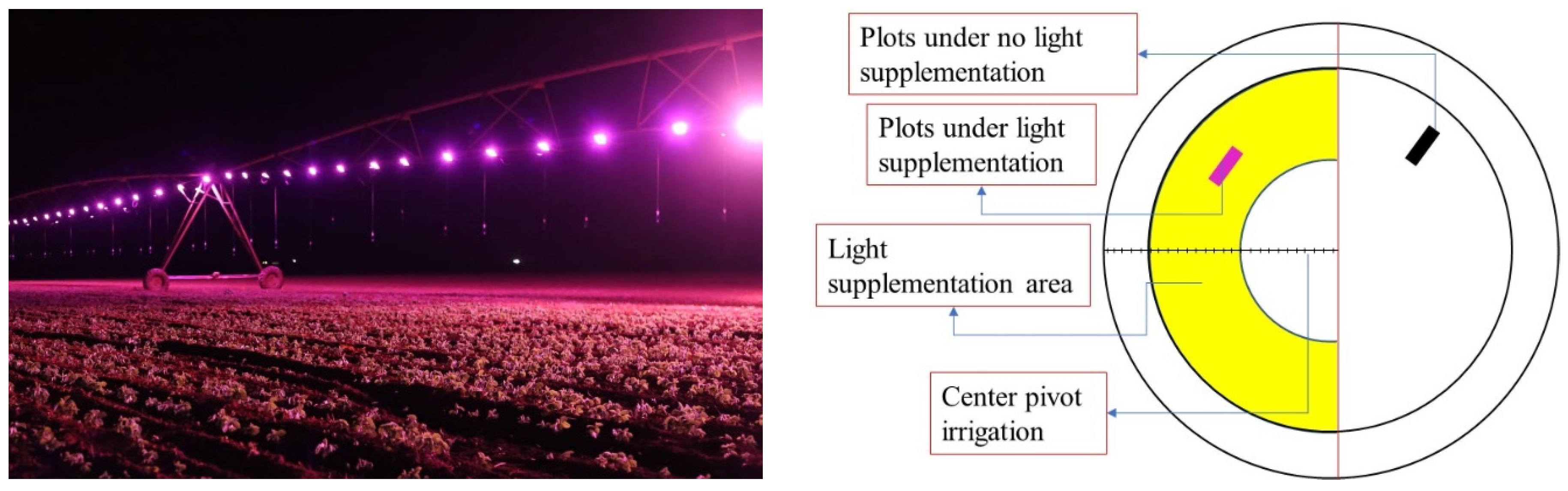 Agronomy 14 00824 g001