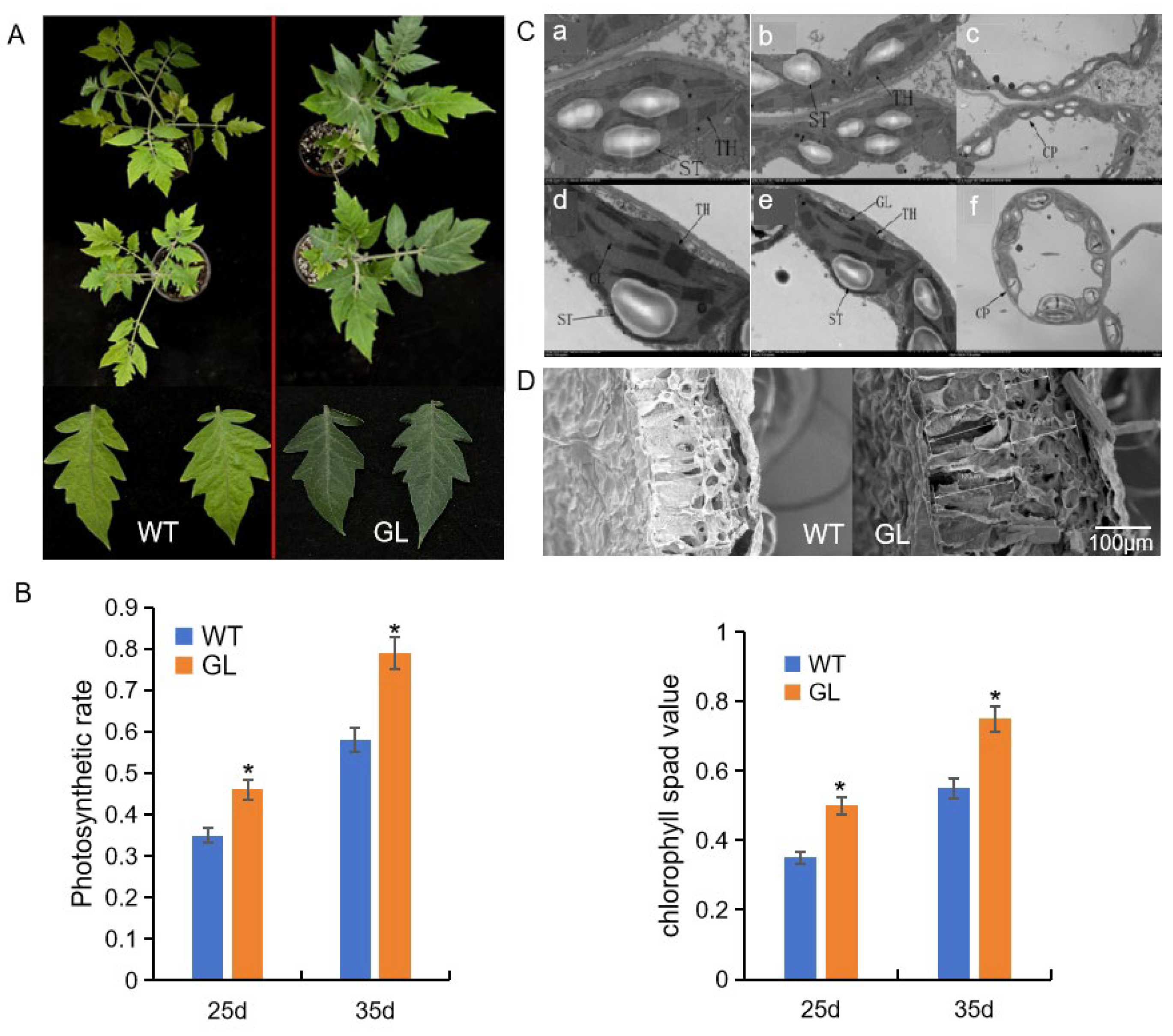 Agronomy 14 00828 g001