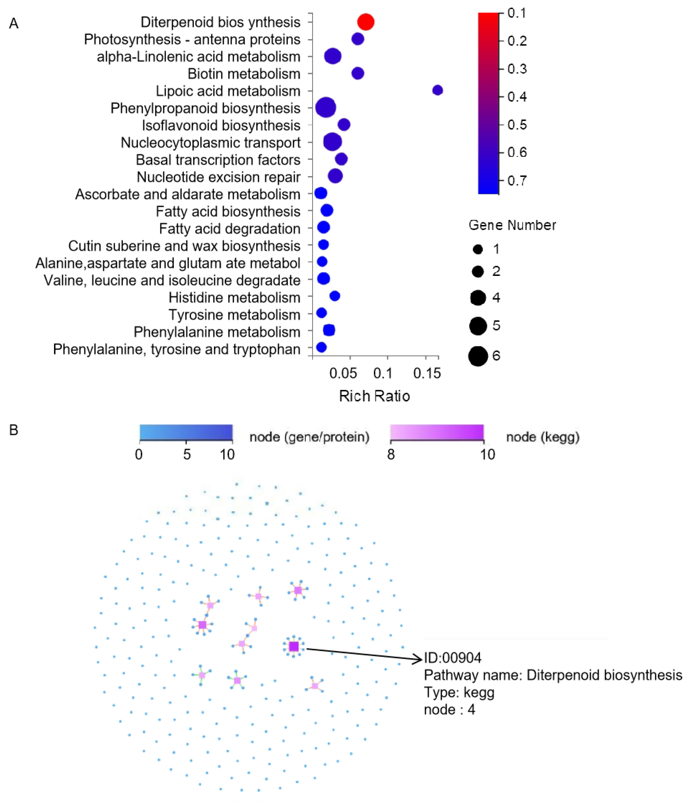 Agronomy 14 00828 g006