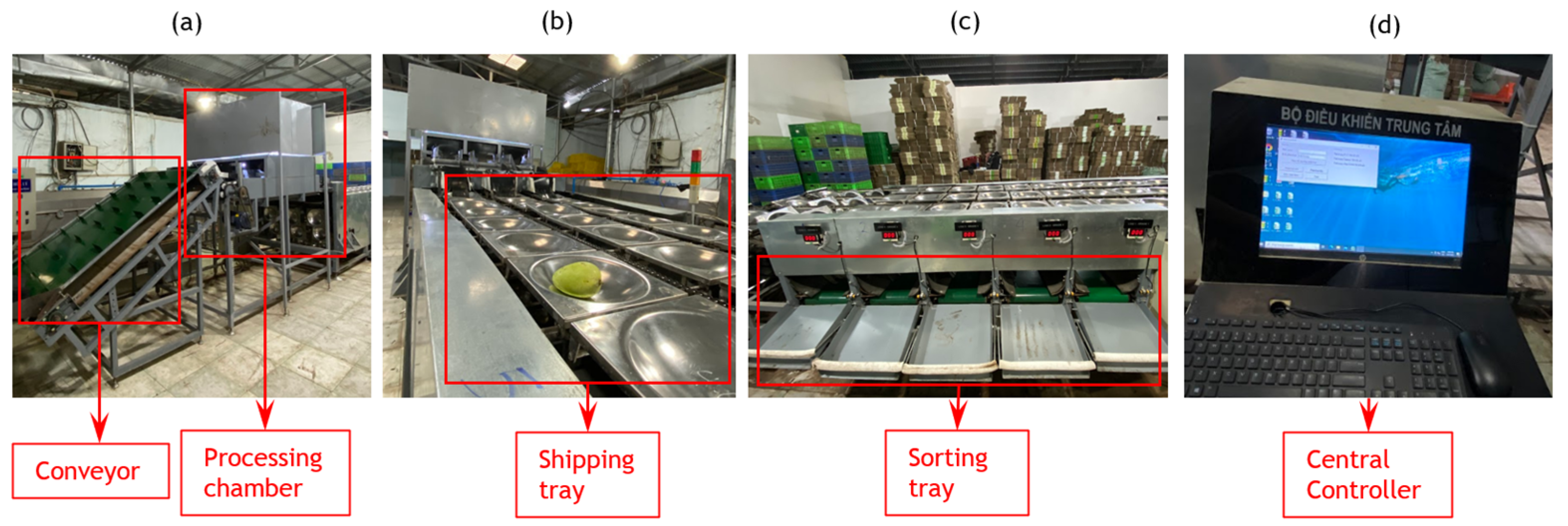 Agronomy 14 00831 g001