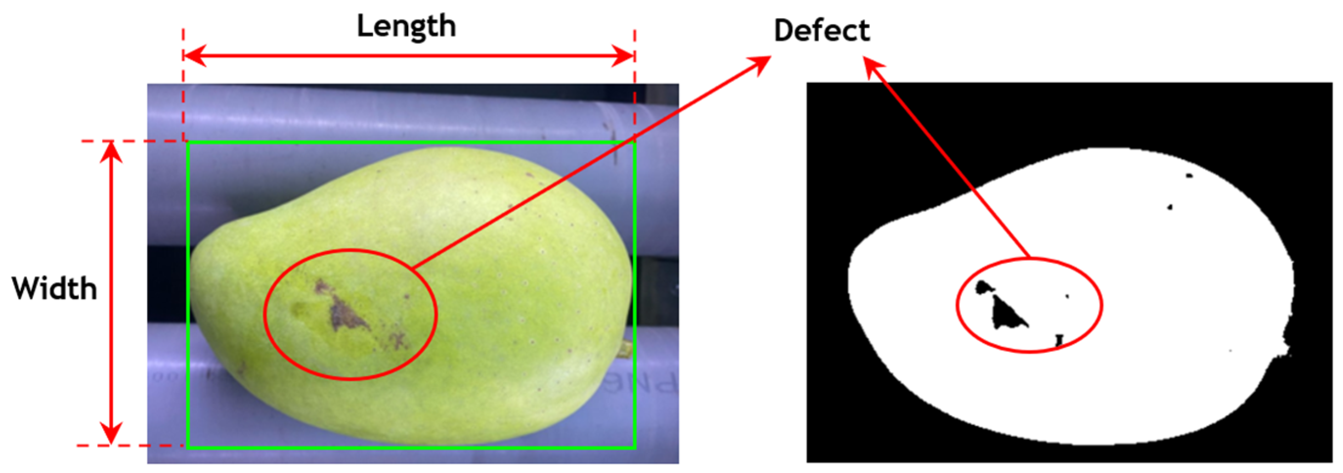Agronomy 14 00831 g004