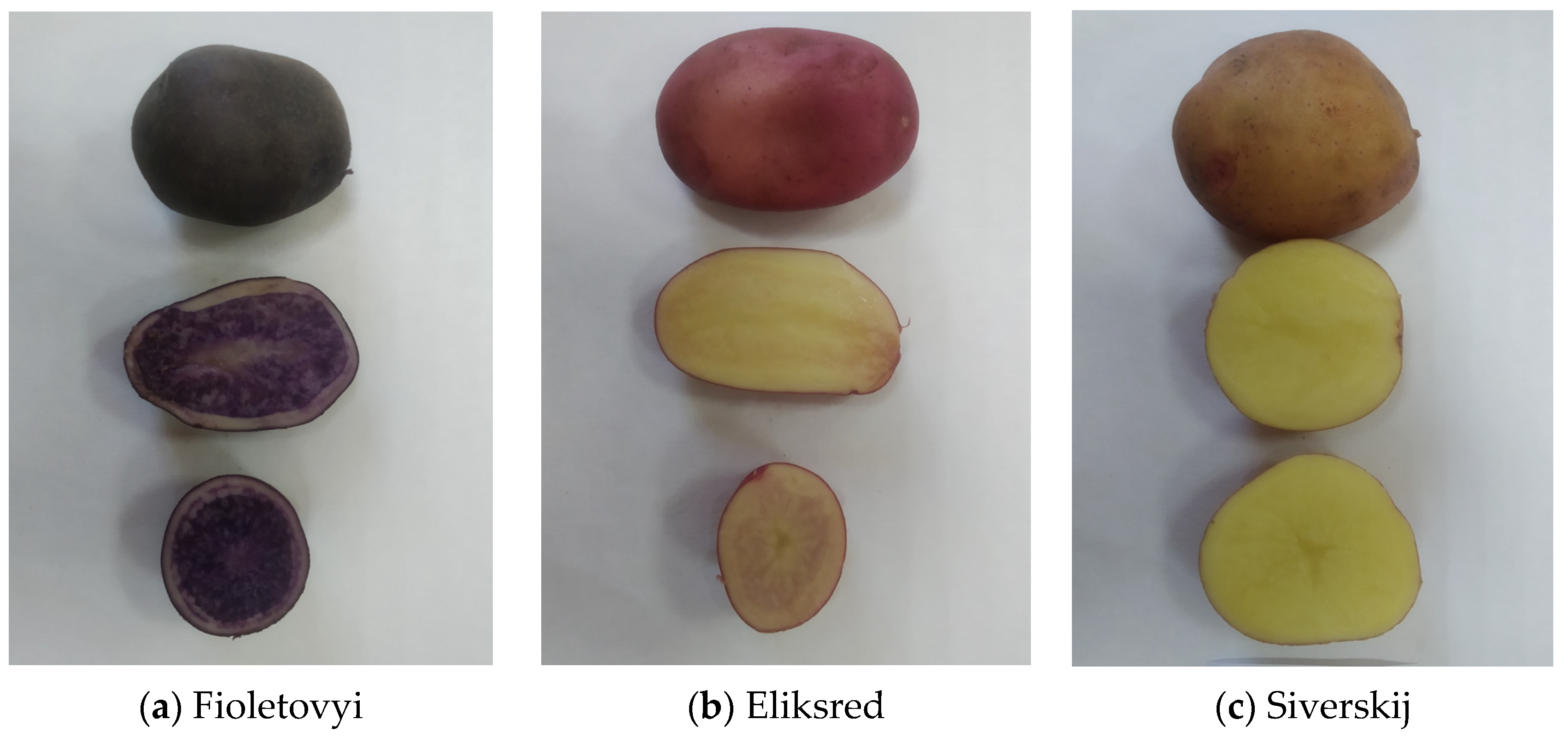 Agronomy 14 00834 g004a