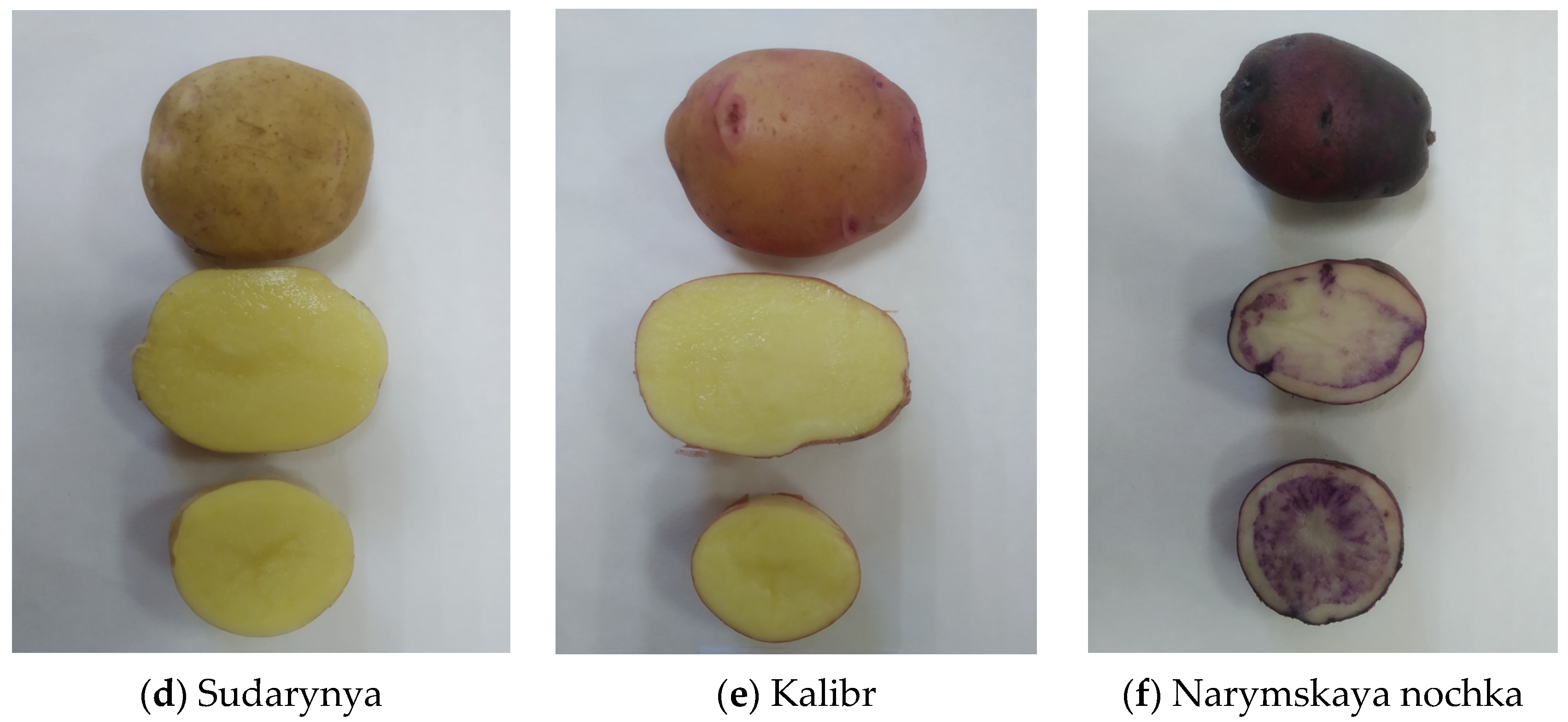 Agronomy 14 00834 g004b