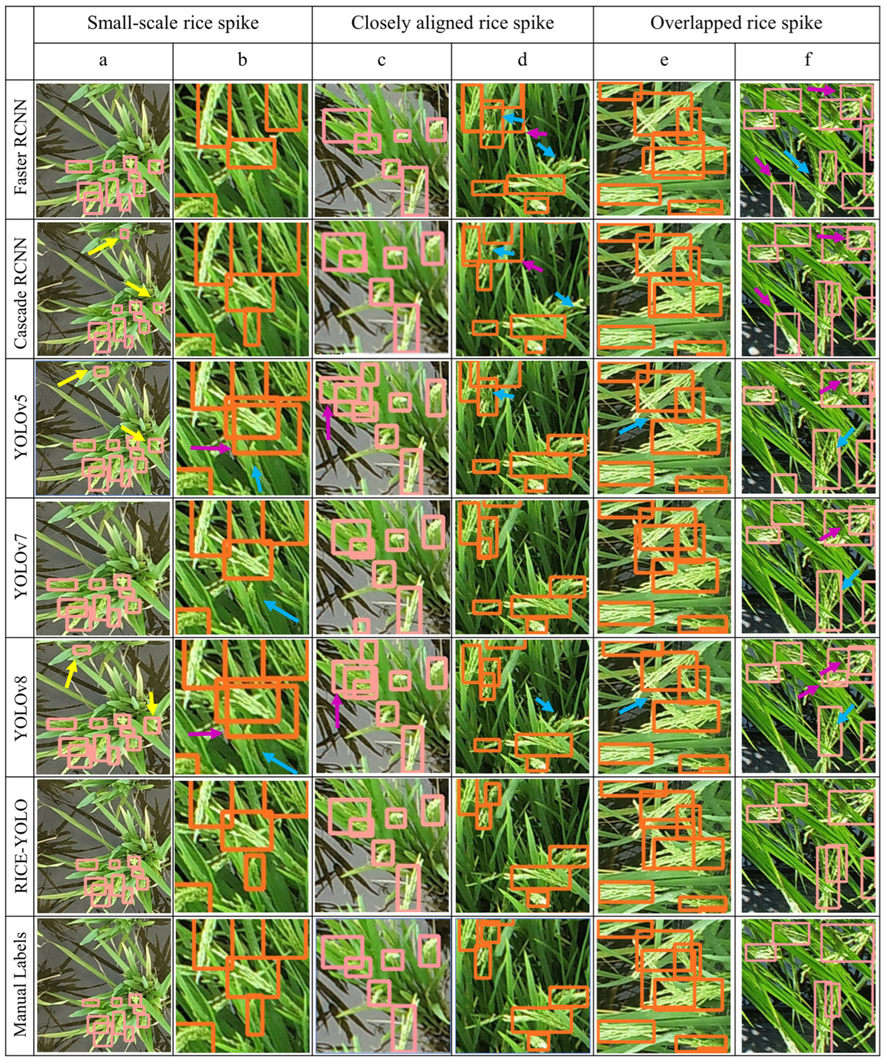 Agronomy 14 00836 g012