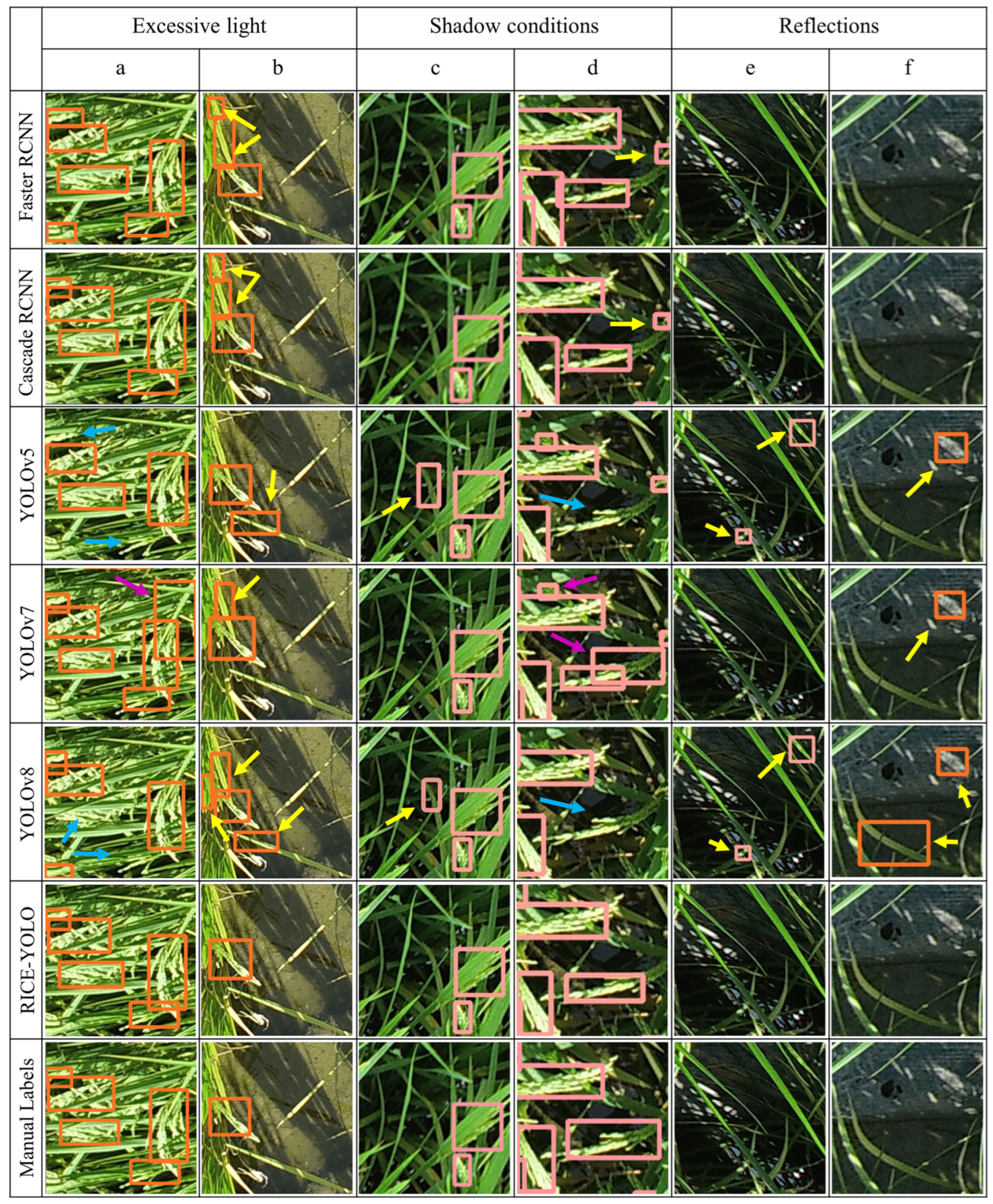 Agronomy 14 00836 g013