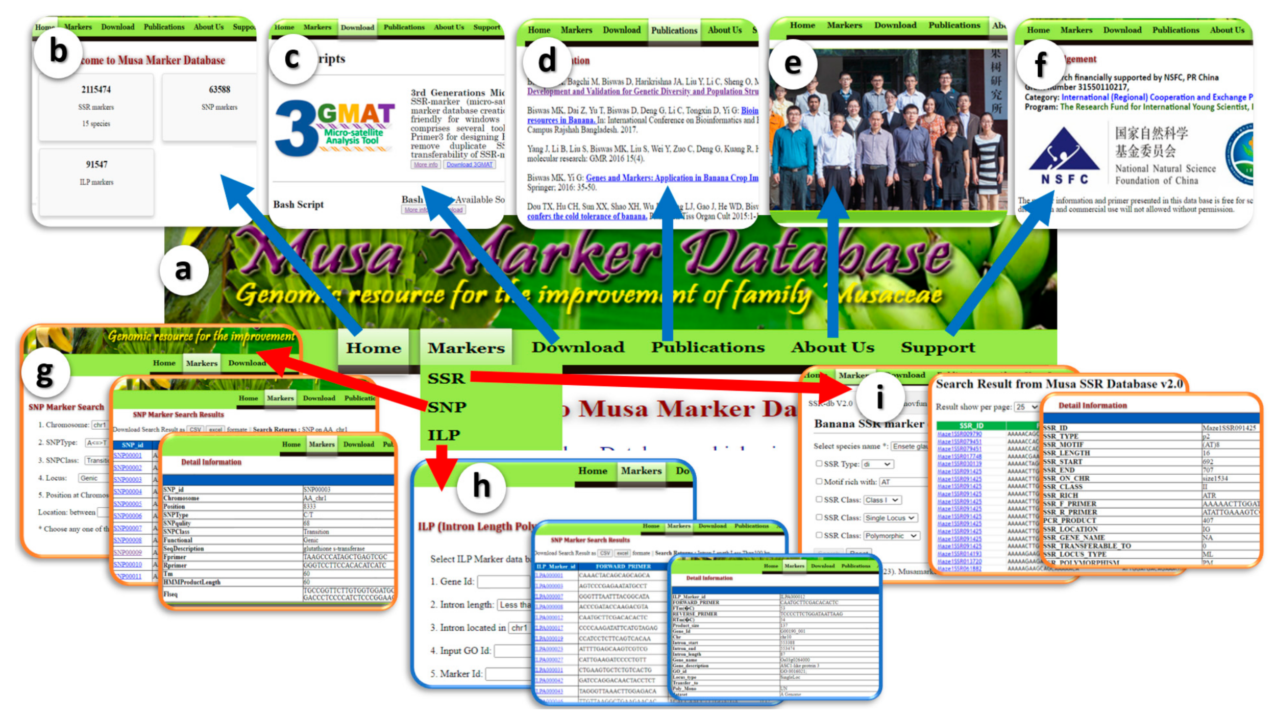 Agronomy 14 00838 g004 Agronomy 14 00838 g004