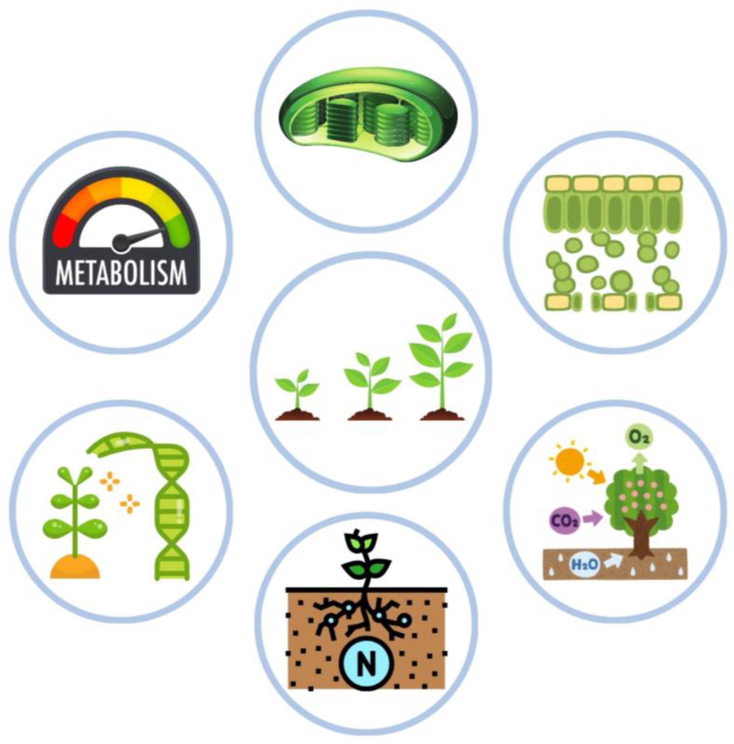 Agronomy 14 00840 g001 Agronomy 14 00840 g001