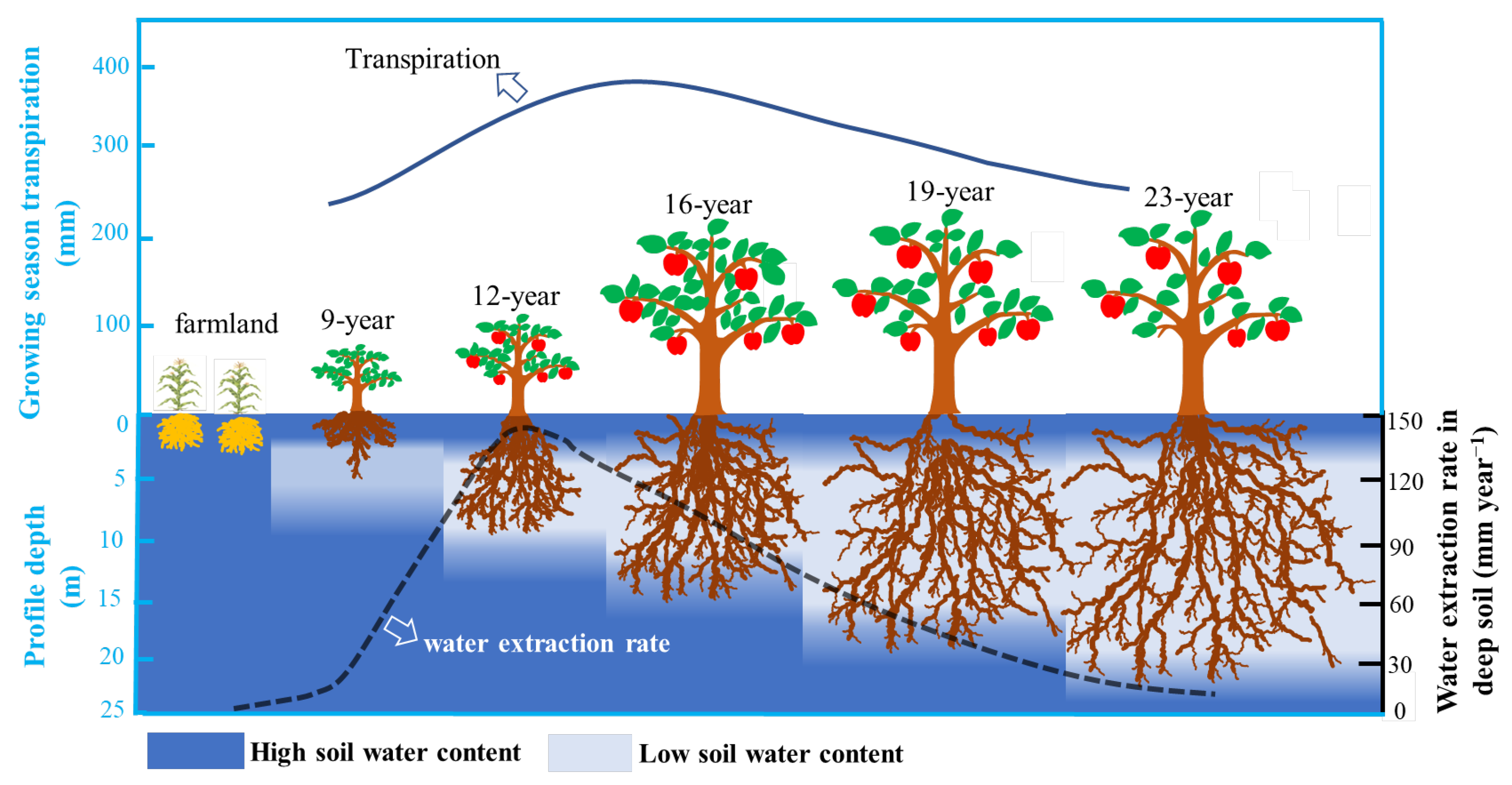 Agronomy 14 00841 g012