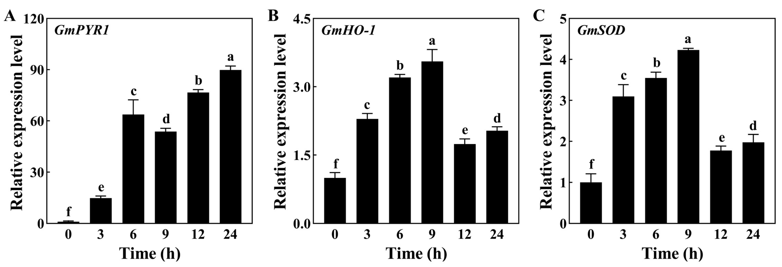 Agronomy 14 00843 g005