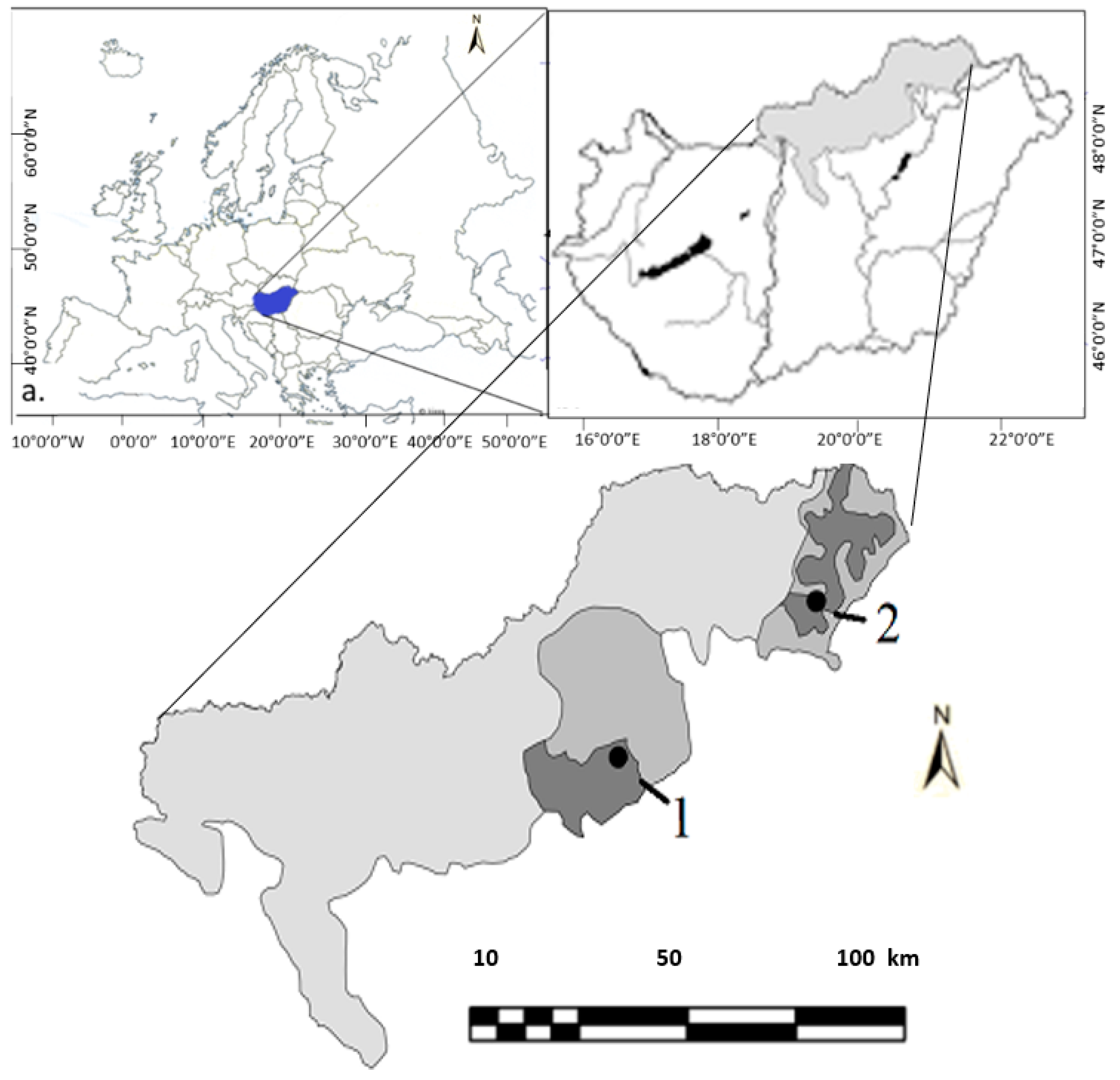 Agronomy 14 00846 g001
