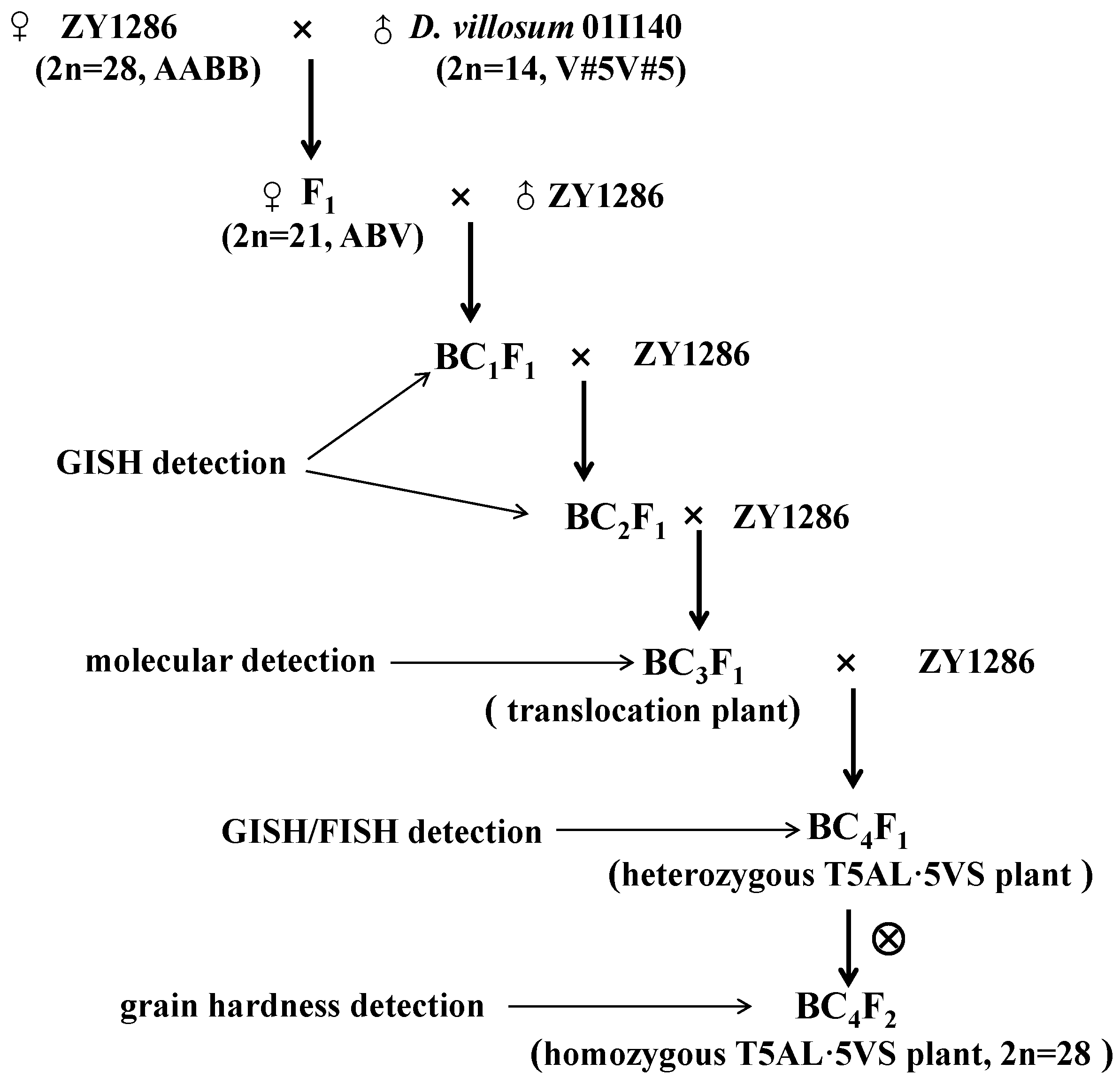 Agronomy 14 00848 g001