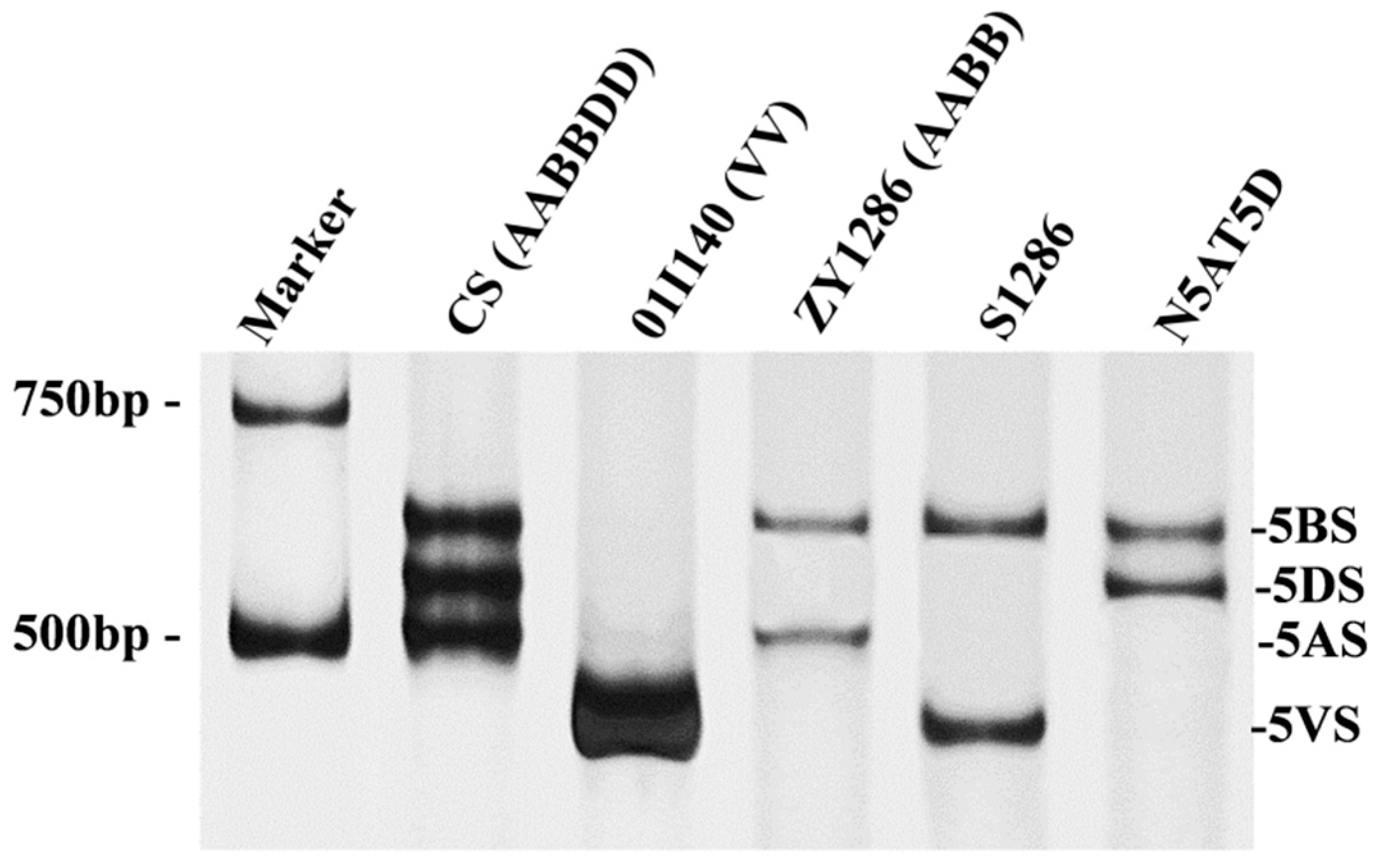 Agronomy 14 00848 g003