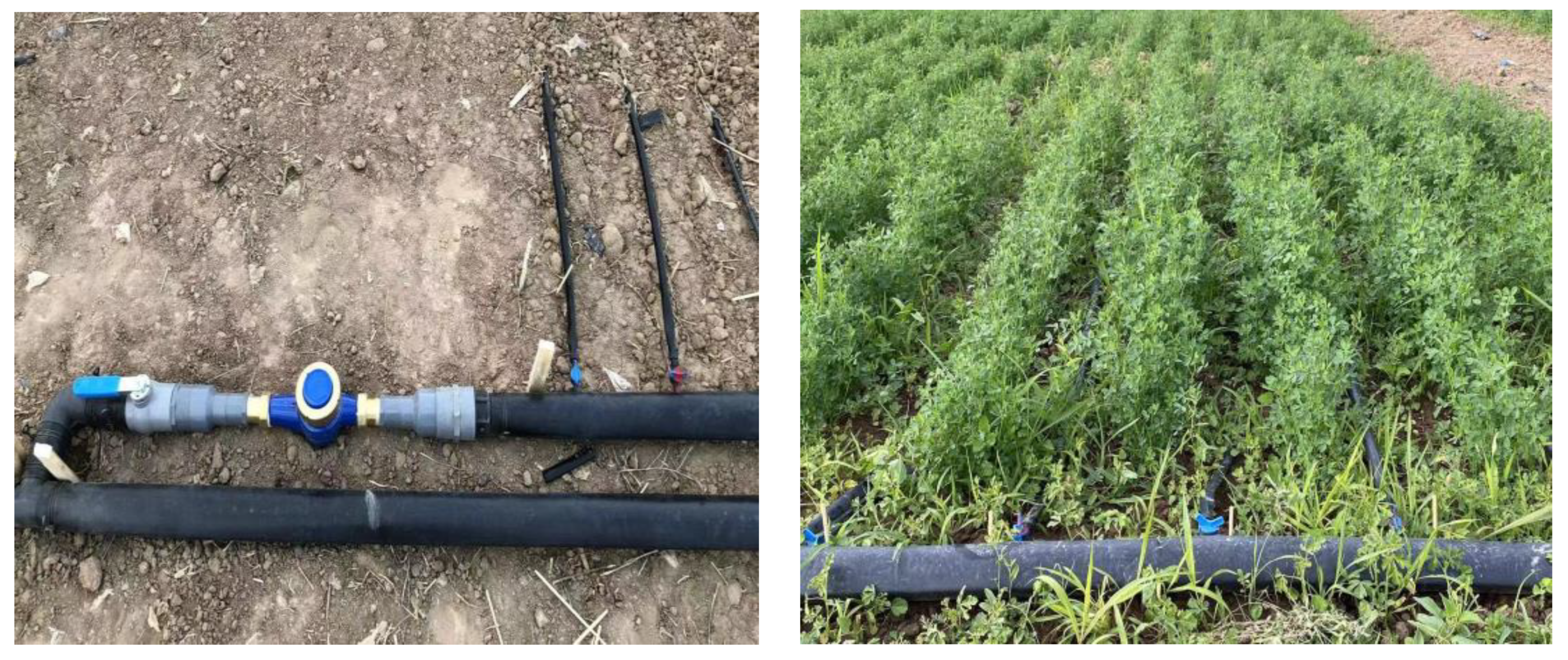 Agronomy 14 00849 g001 Agronomy 14 00849 g001