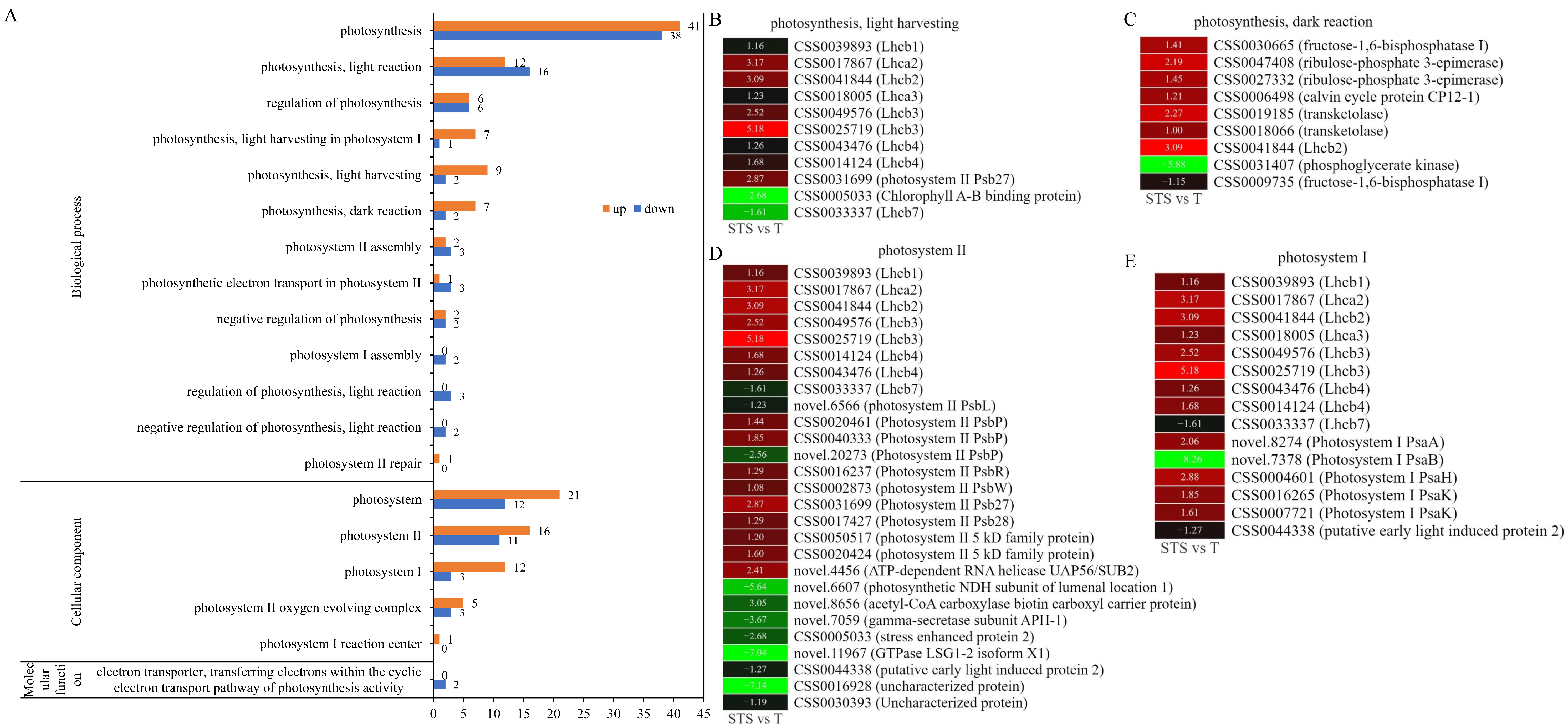 Agronomy 14 00850 g005