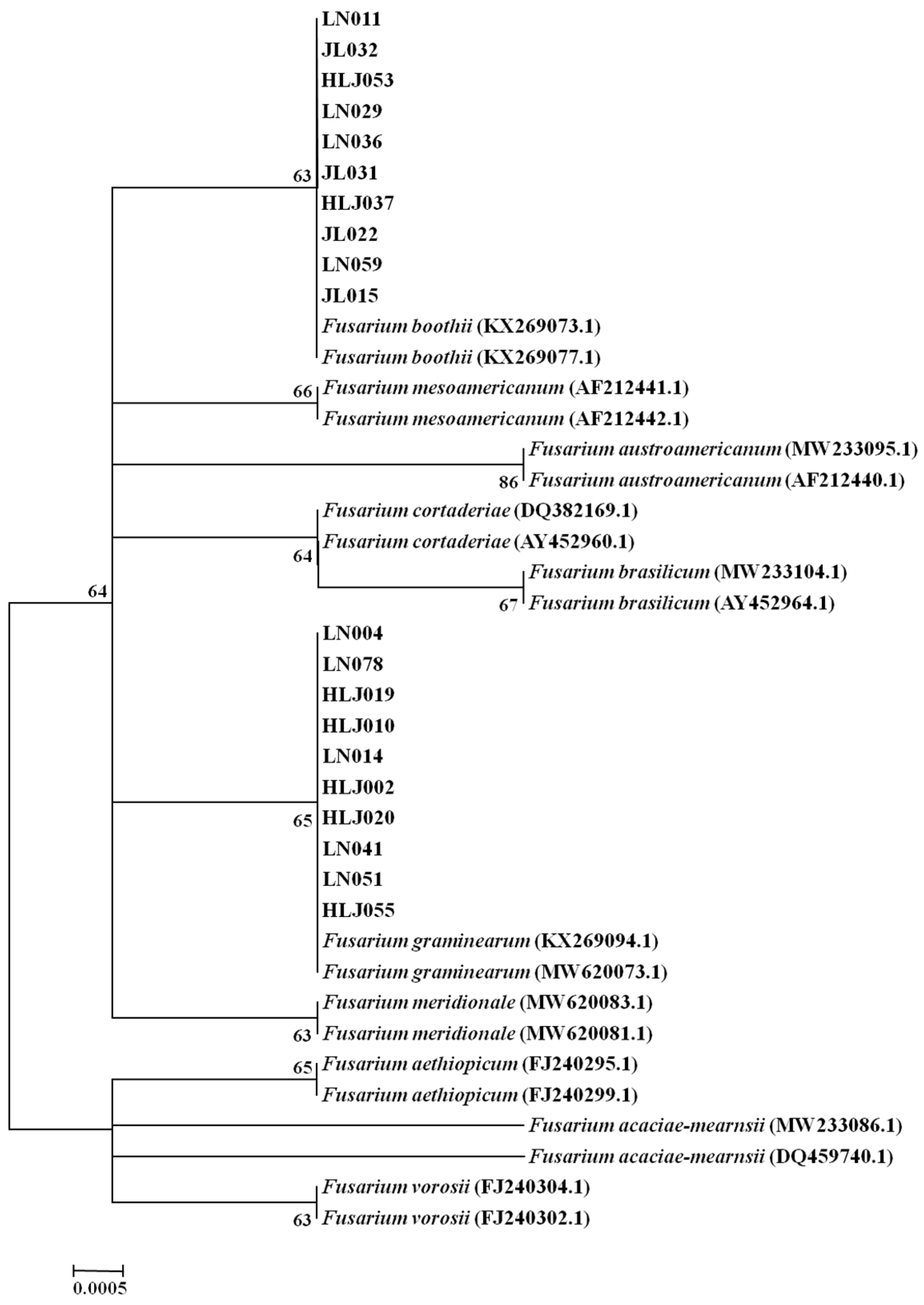 Agronomy 14 00855 g004