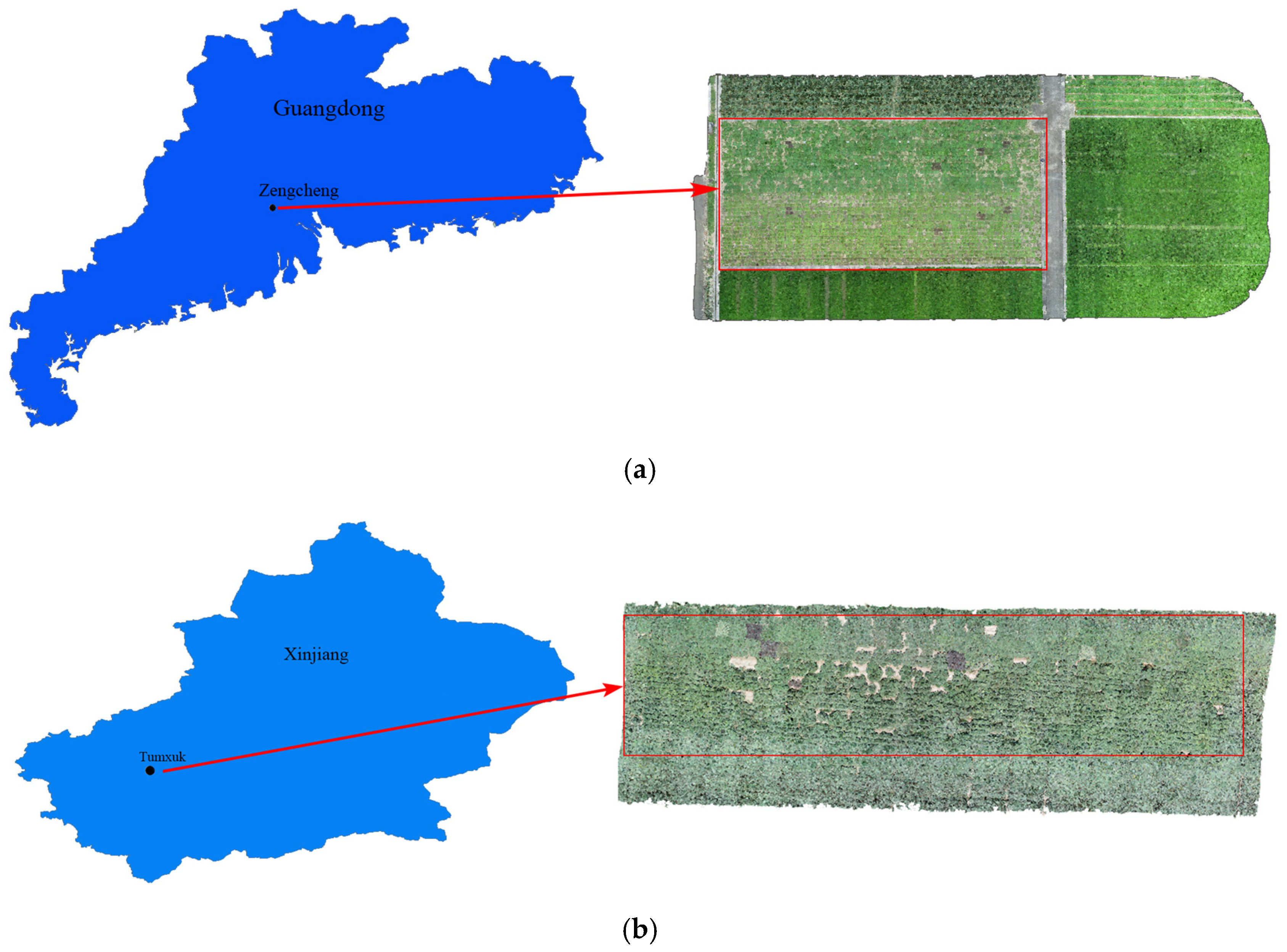 Agronomy 14 00856 g001