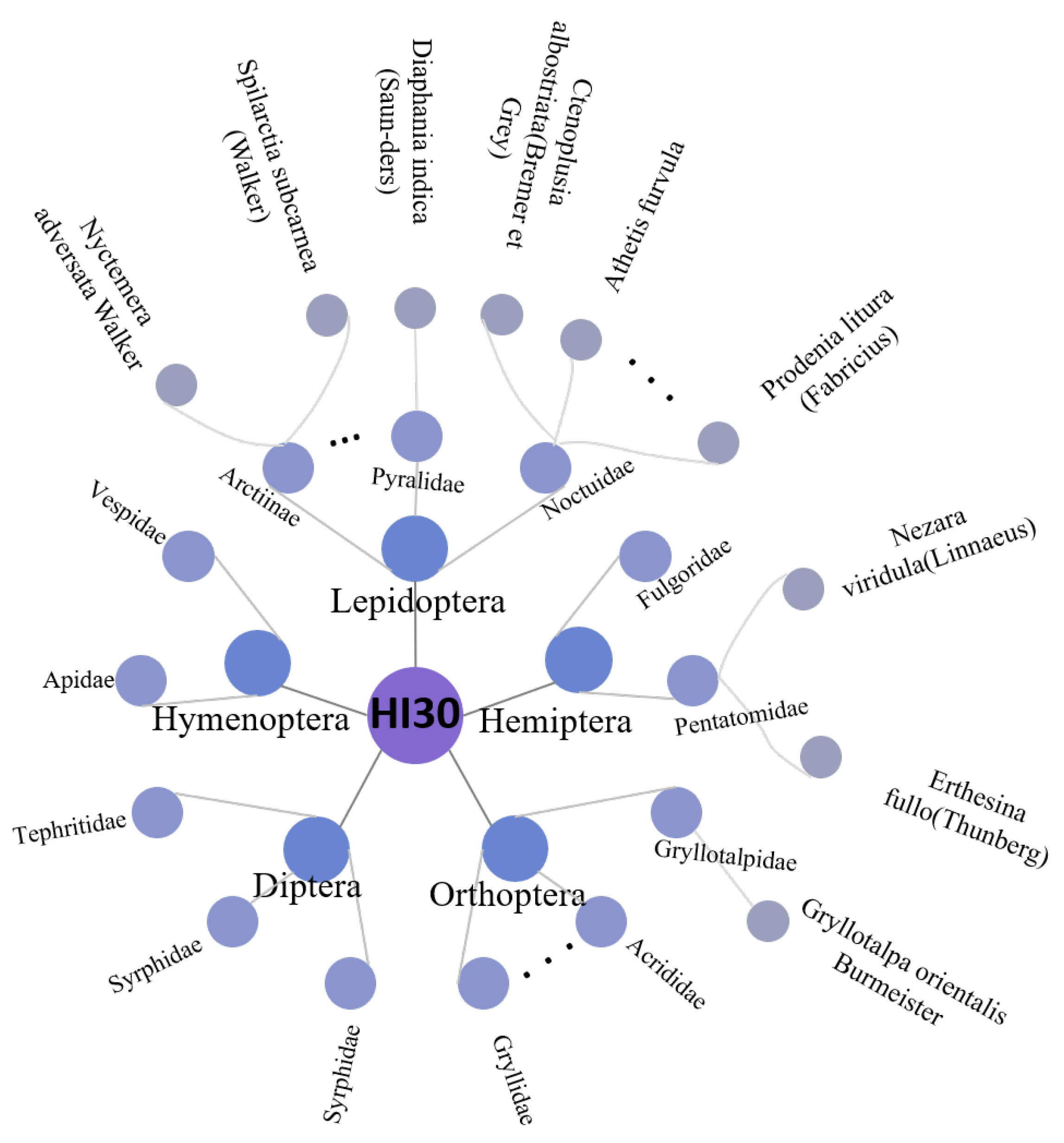Agronomy 14 00863 g003