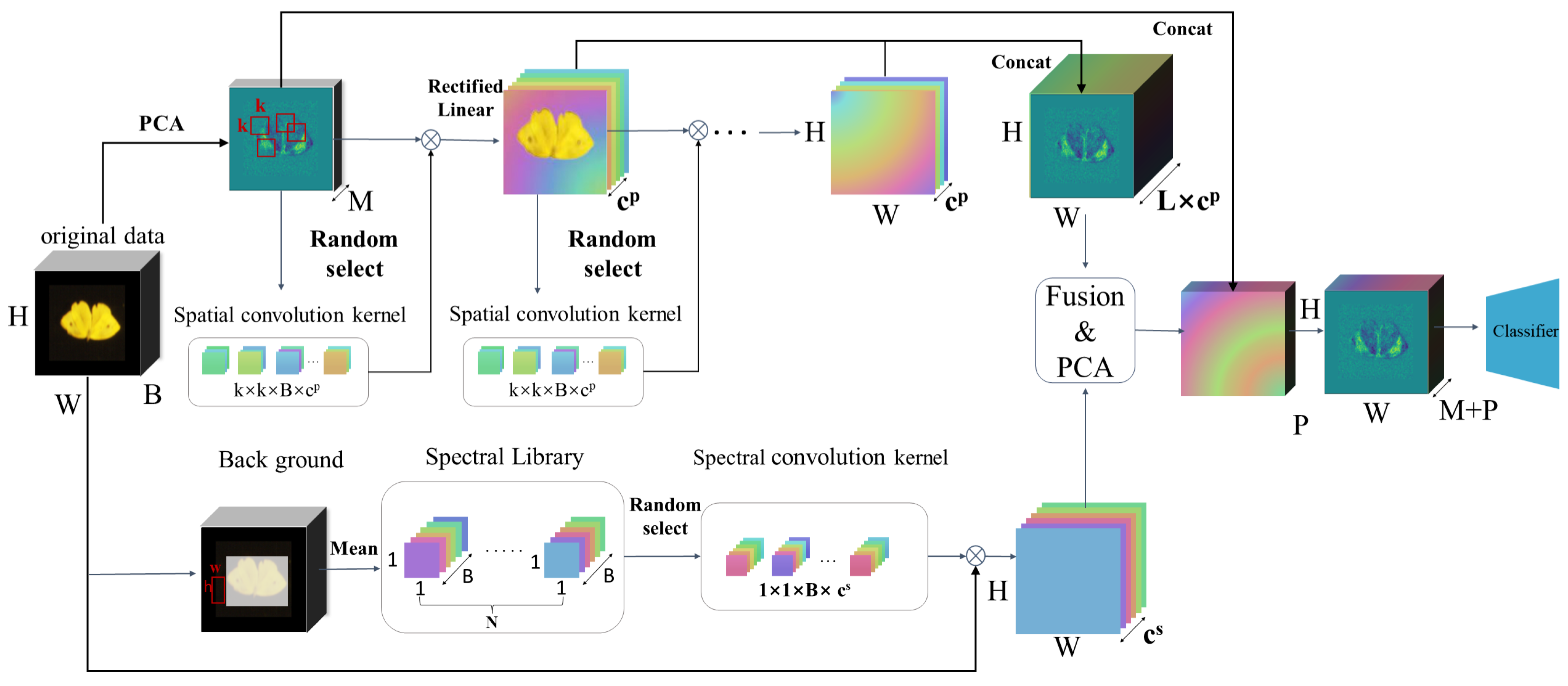 Agronomy 14 00863 g004