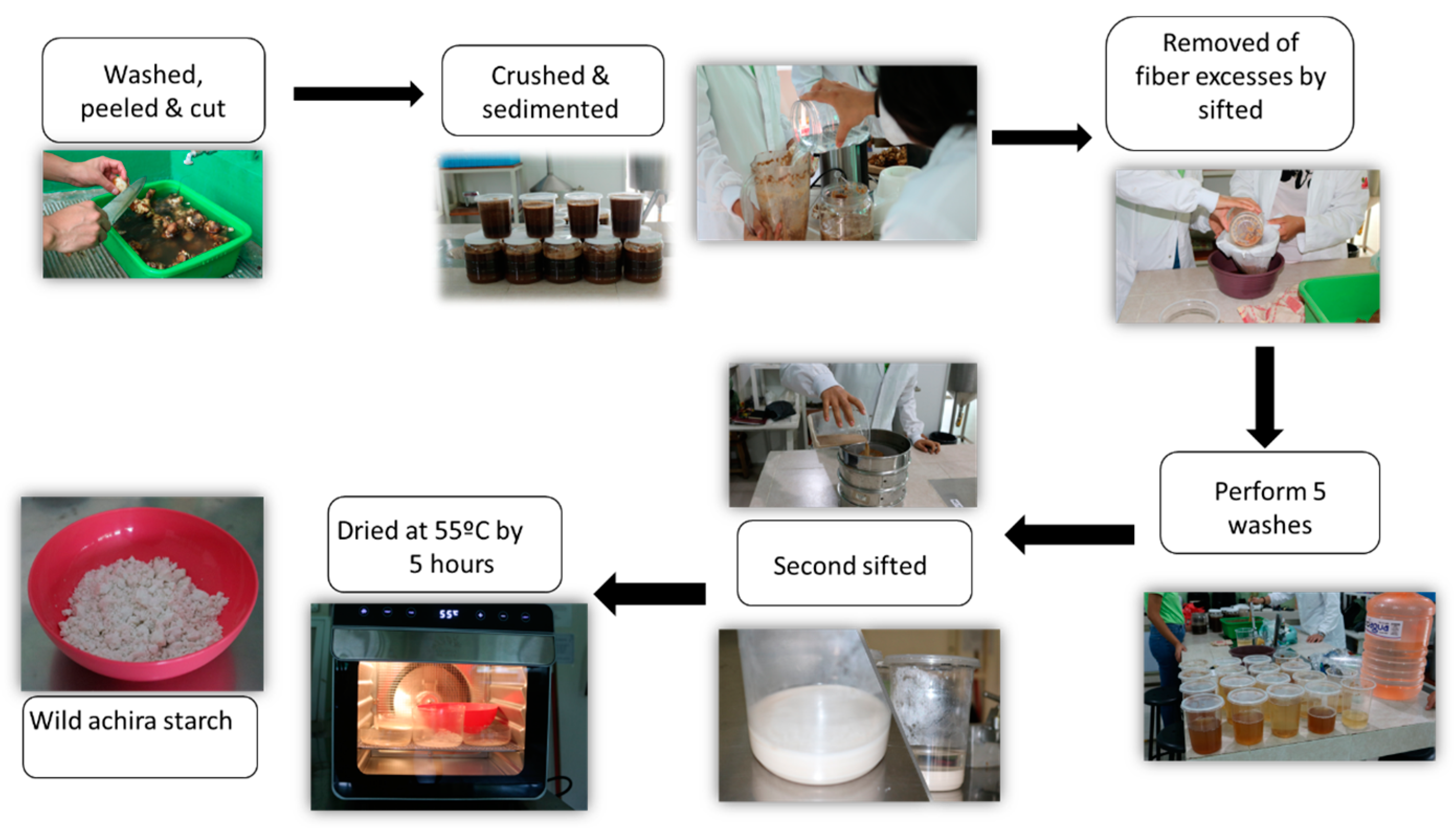 Agronomy 14 00865 g001