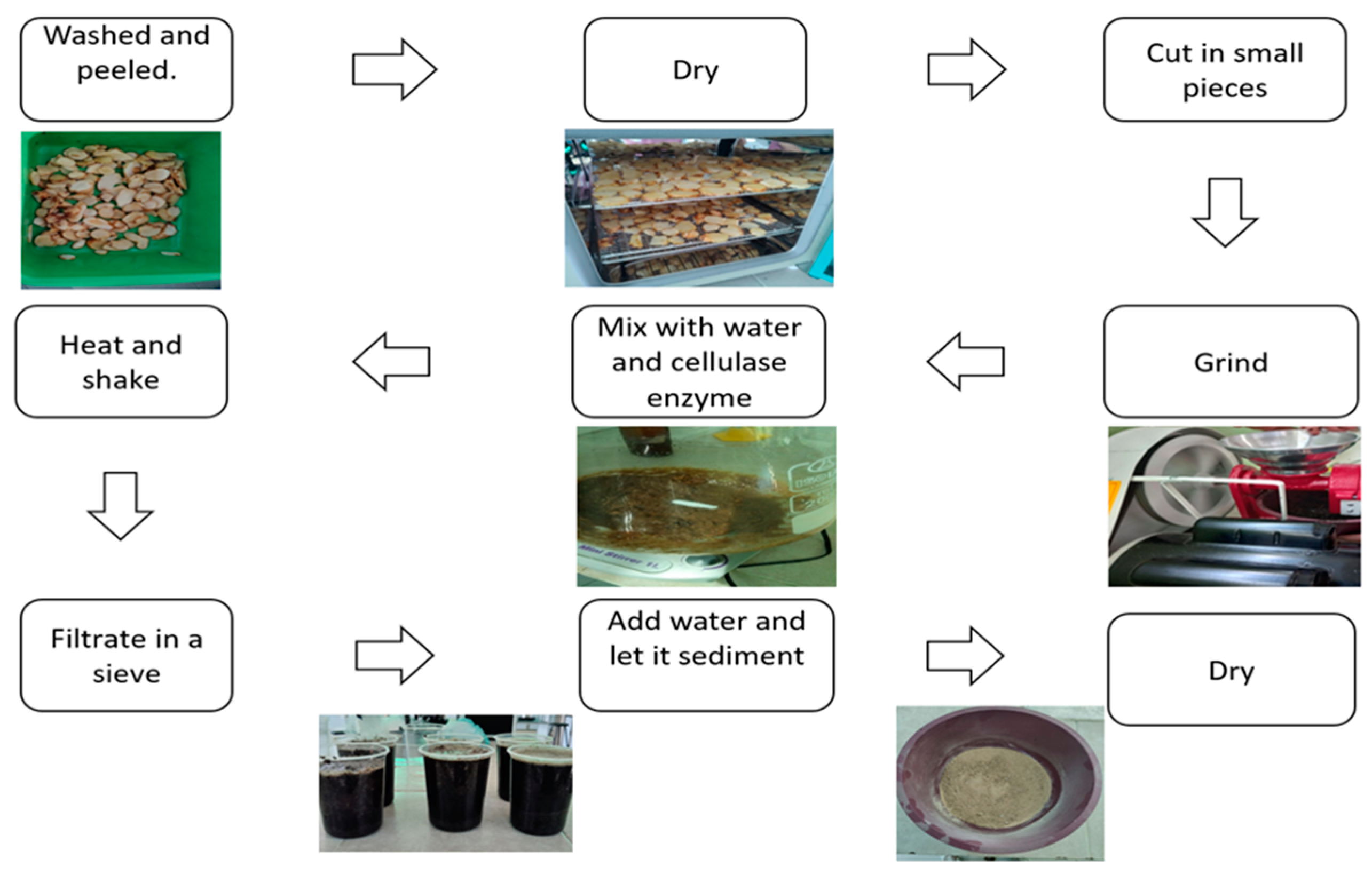 Agronomy 14 00865 g003