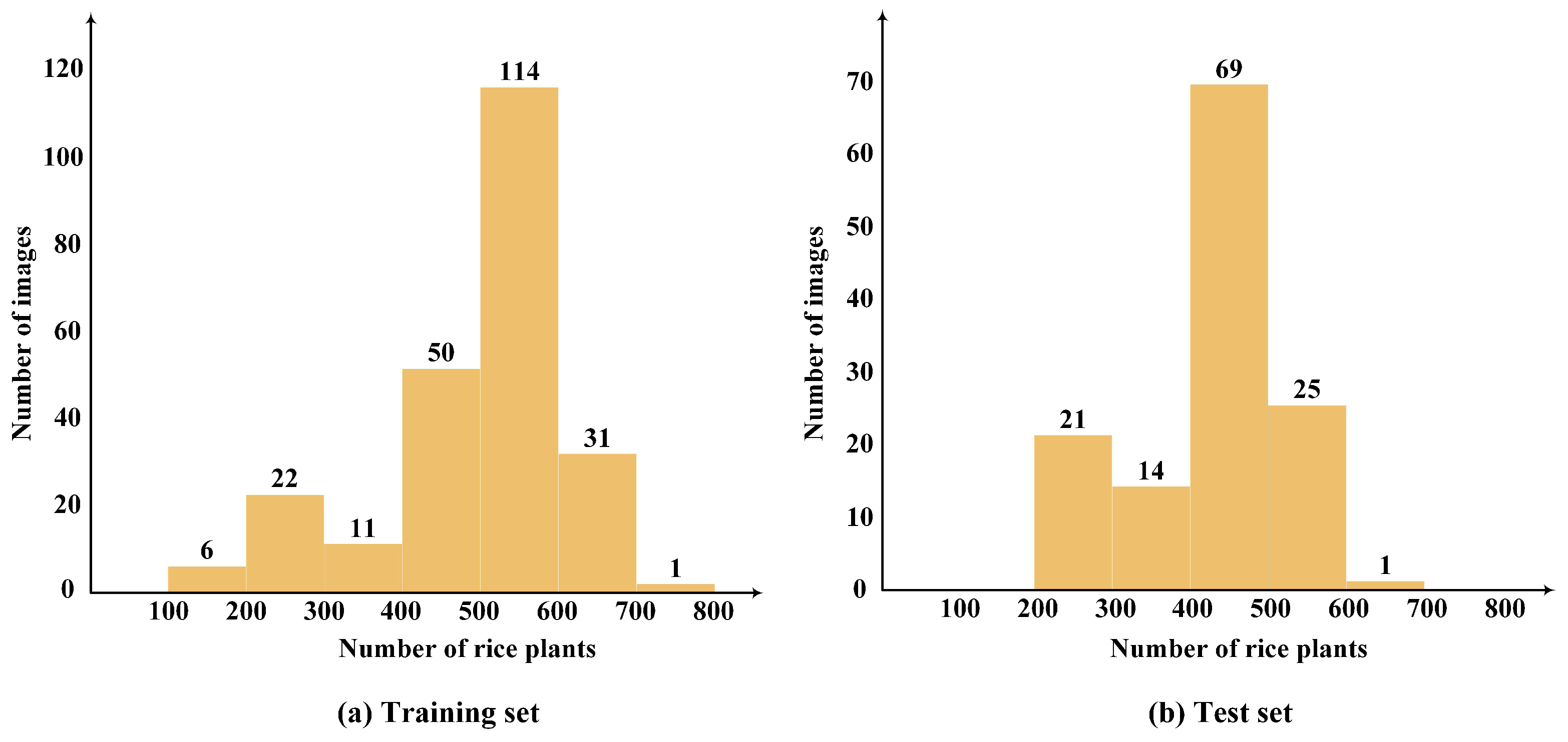 Agronomy 14 00868 g003