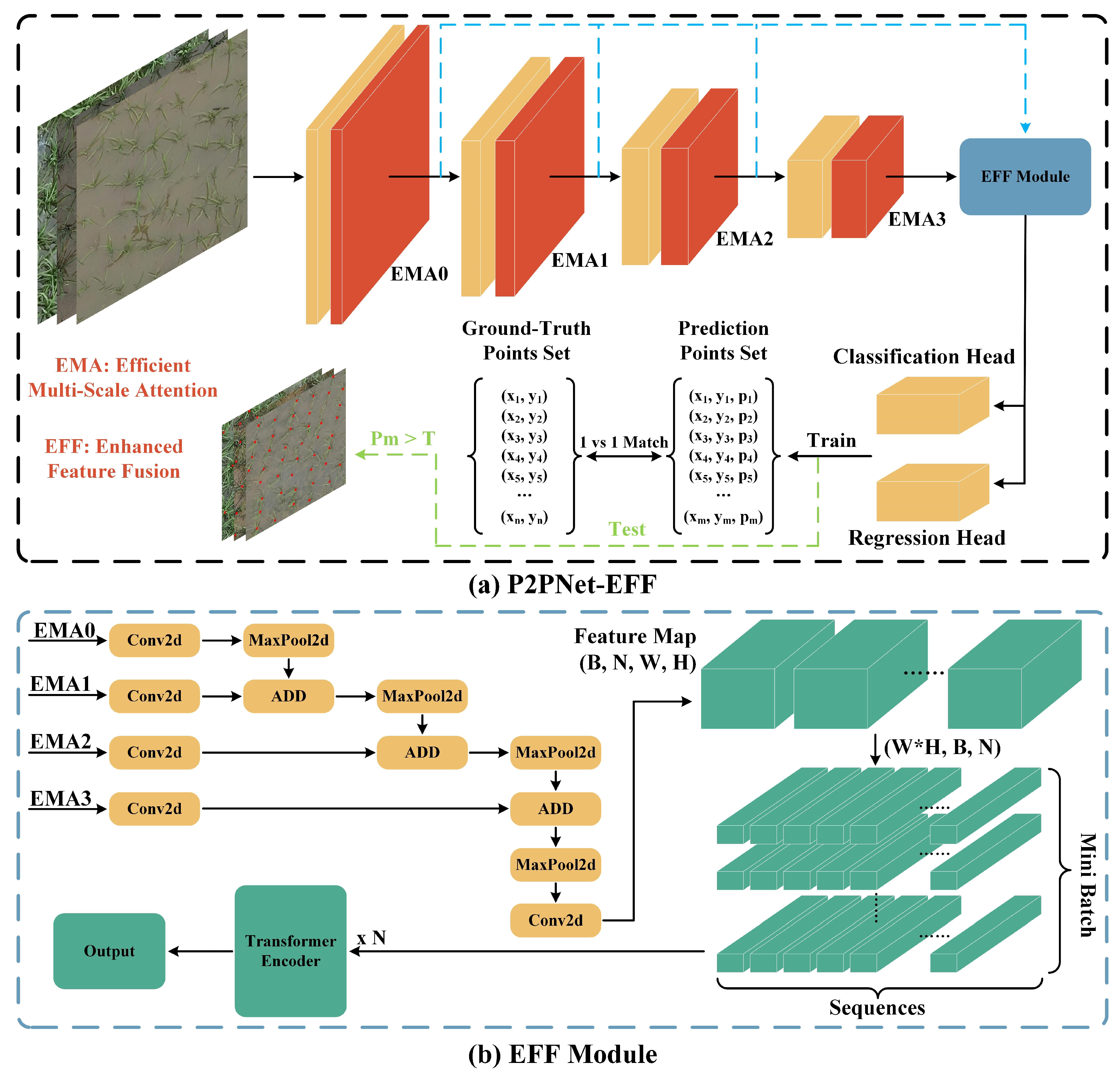 Agronomy 14 00868 g004