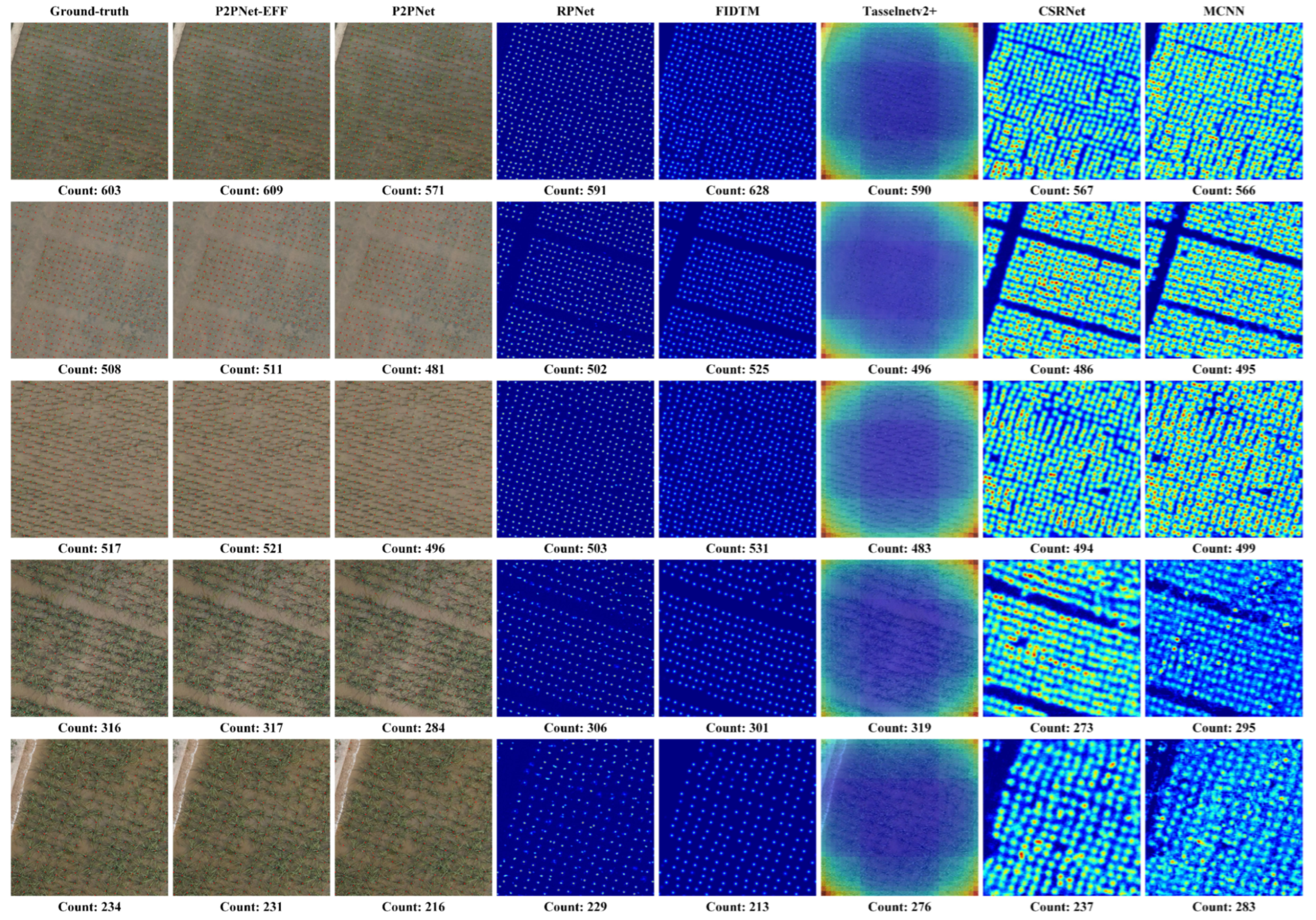 Agronomy 14 00868 g006