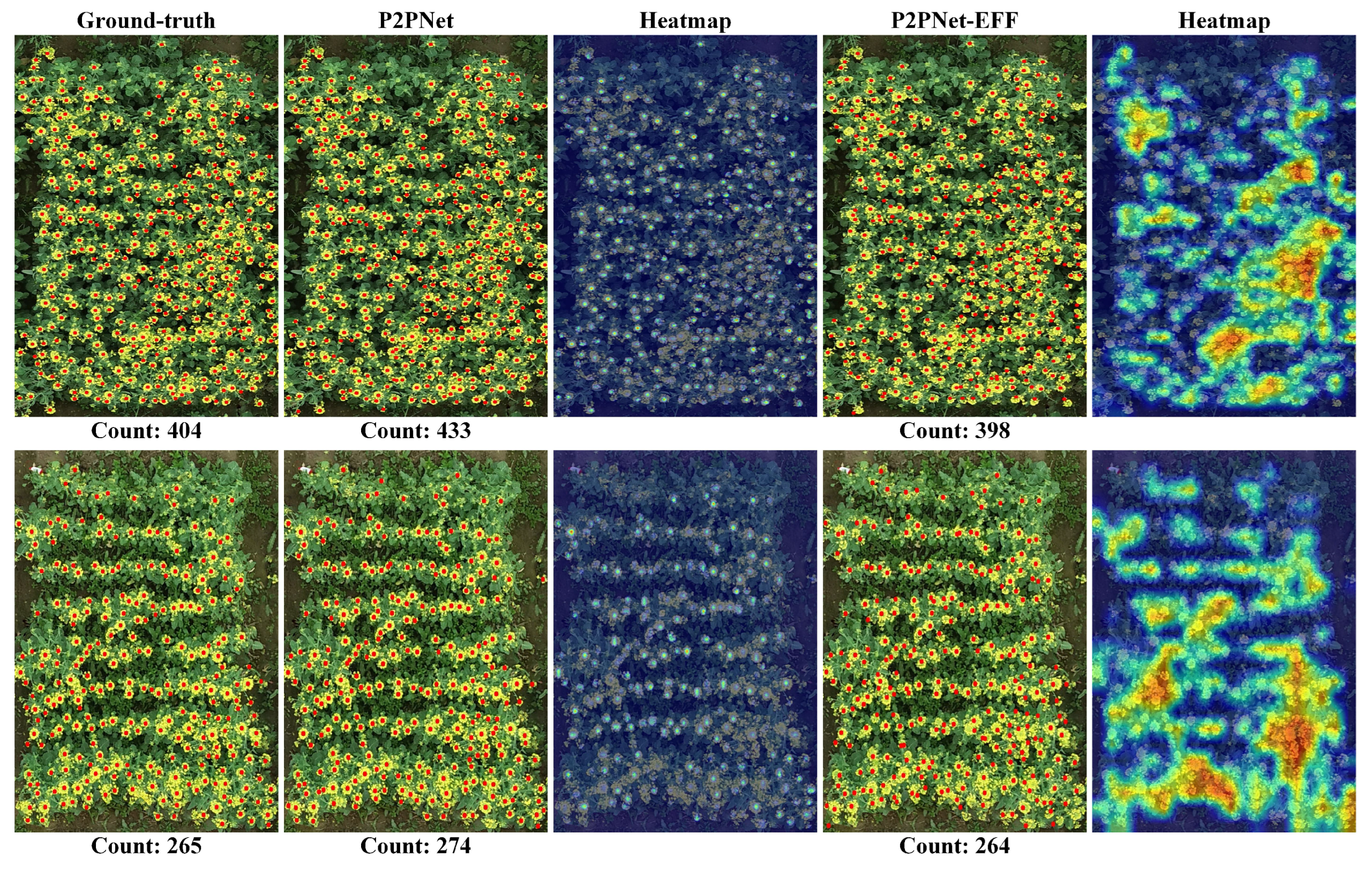Agronomy 14 00868 g008