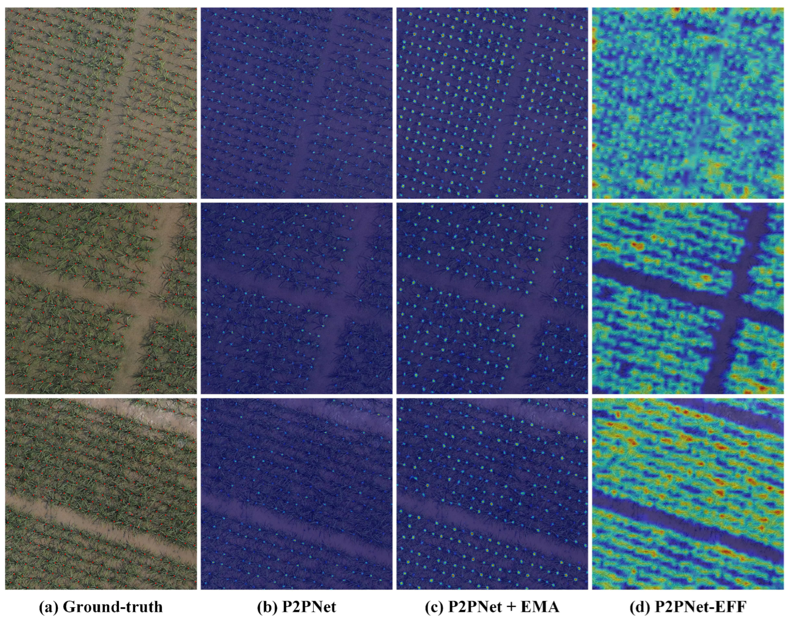 Agronomy 14 00868 g010
