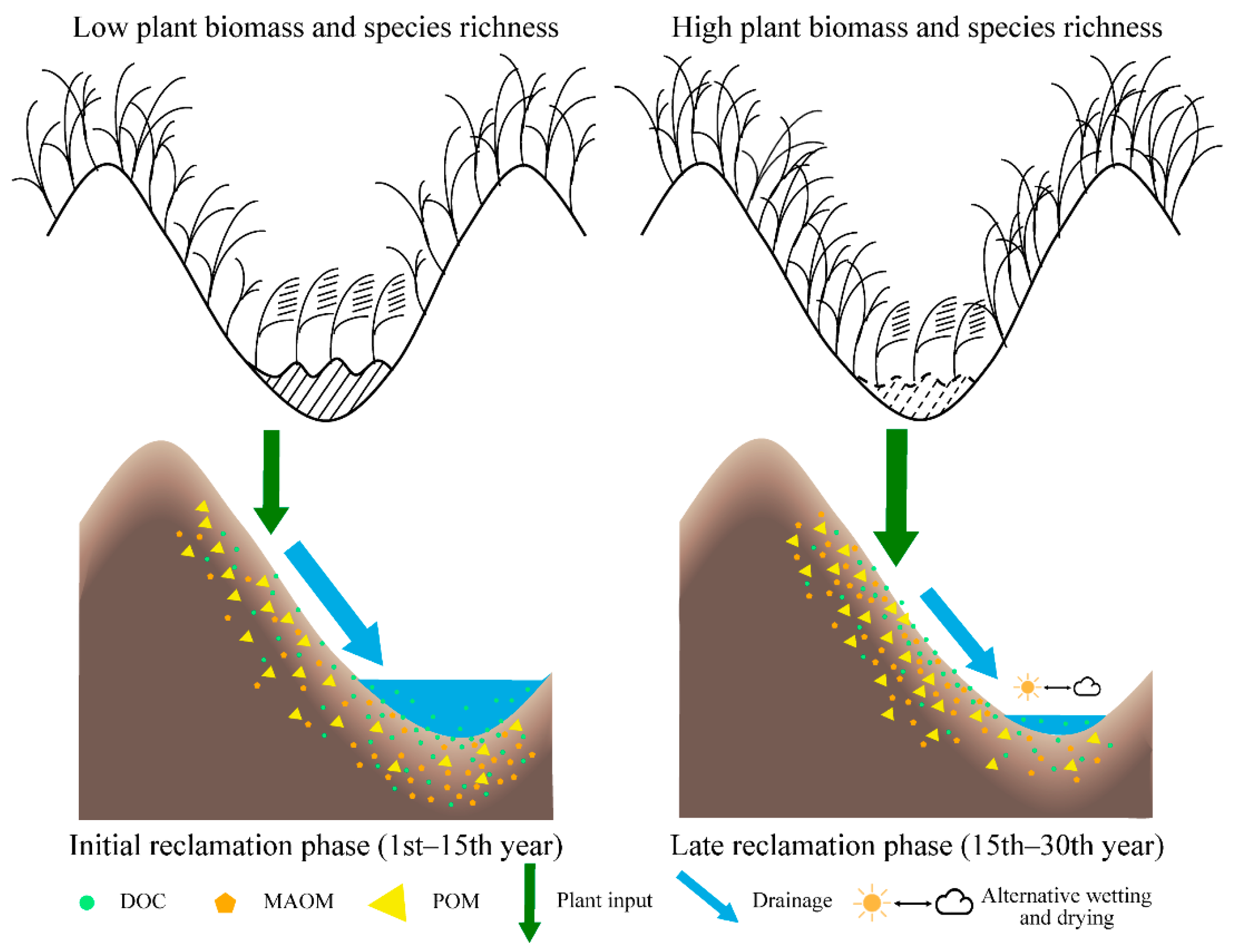 Agronomy 14 00869 g006