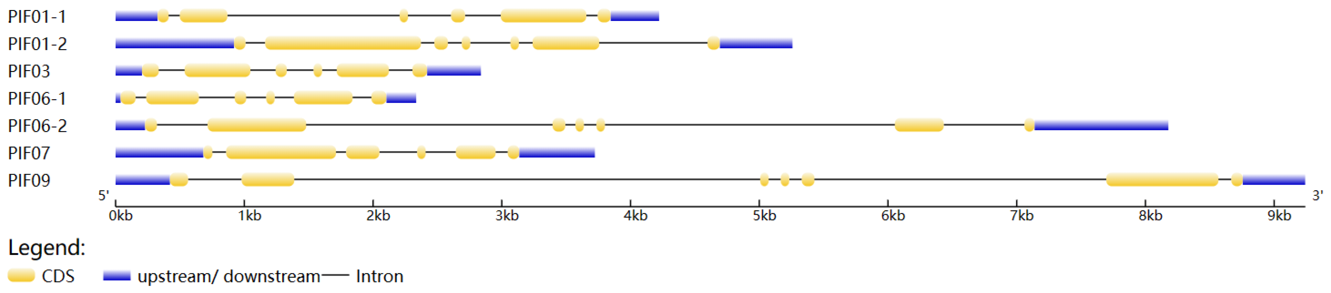 Agronomy 14 00873 g002