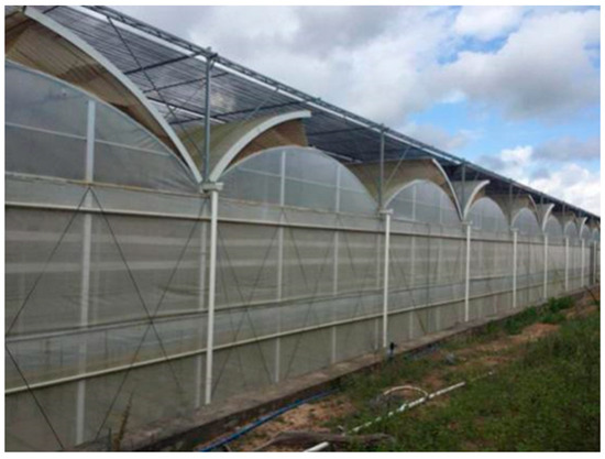 CFD Analysis and Optimization of a Plastic Greenhouse with a Semi 