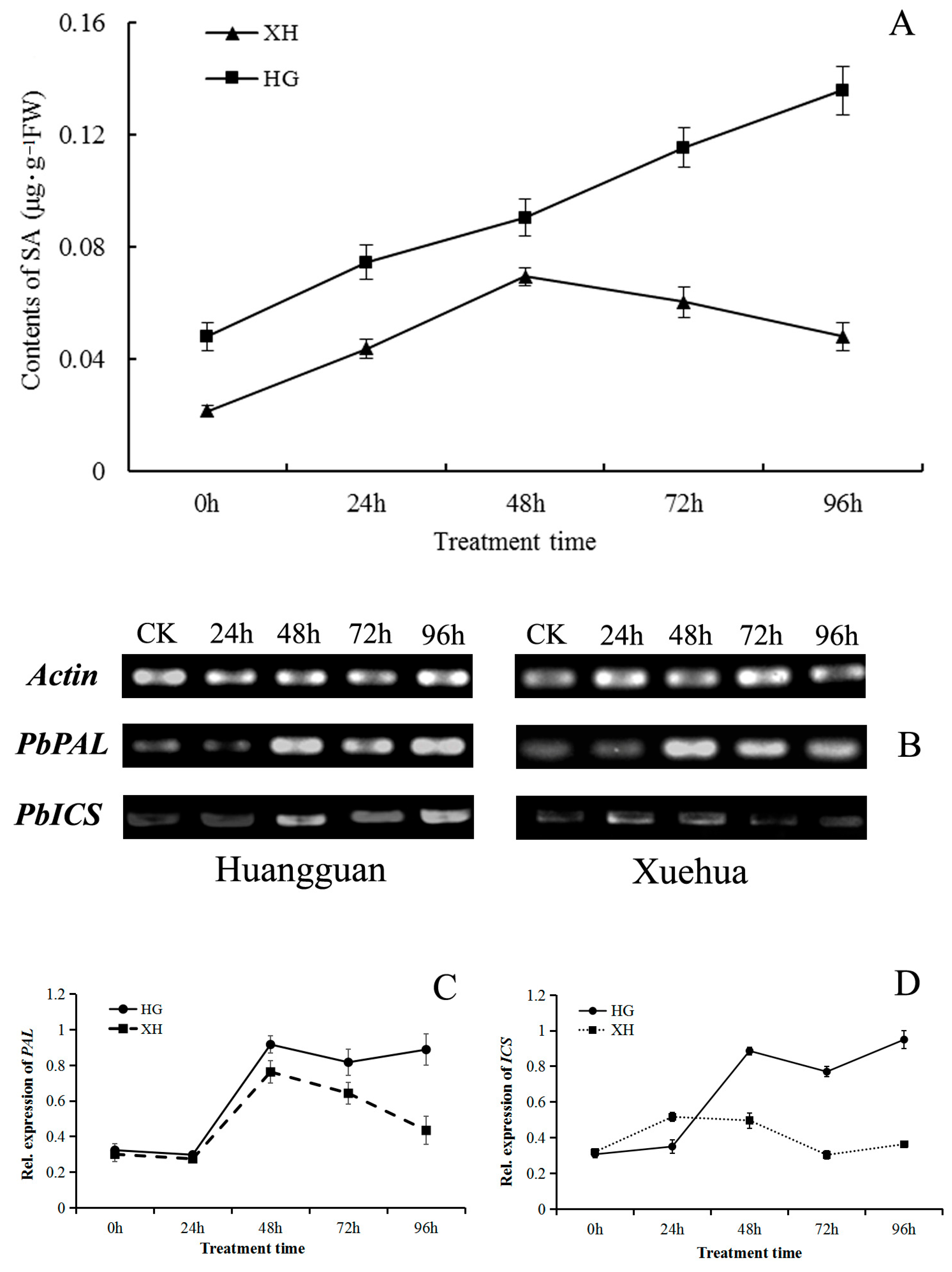 Agronomy 14 00877 g008 Agronomy 14 00877 g008