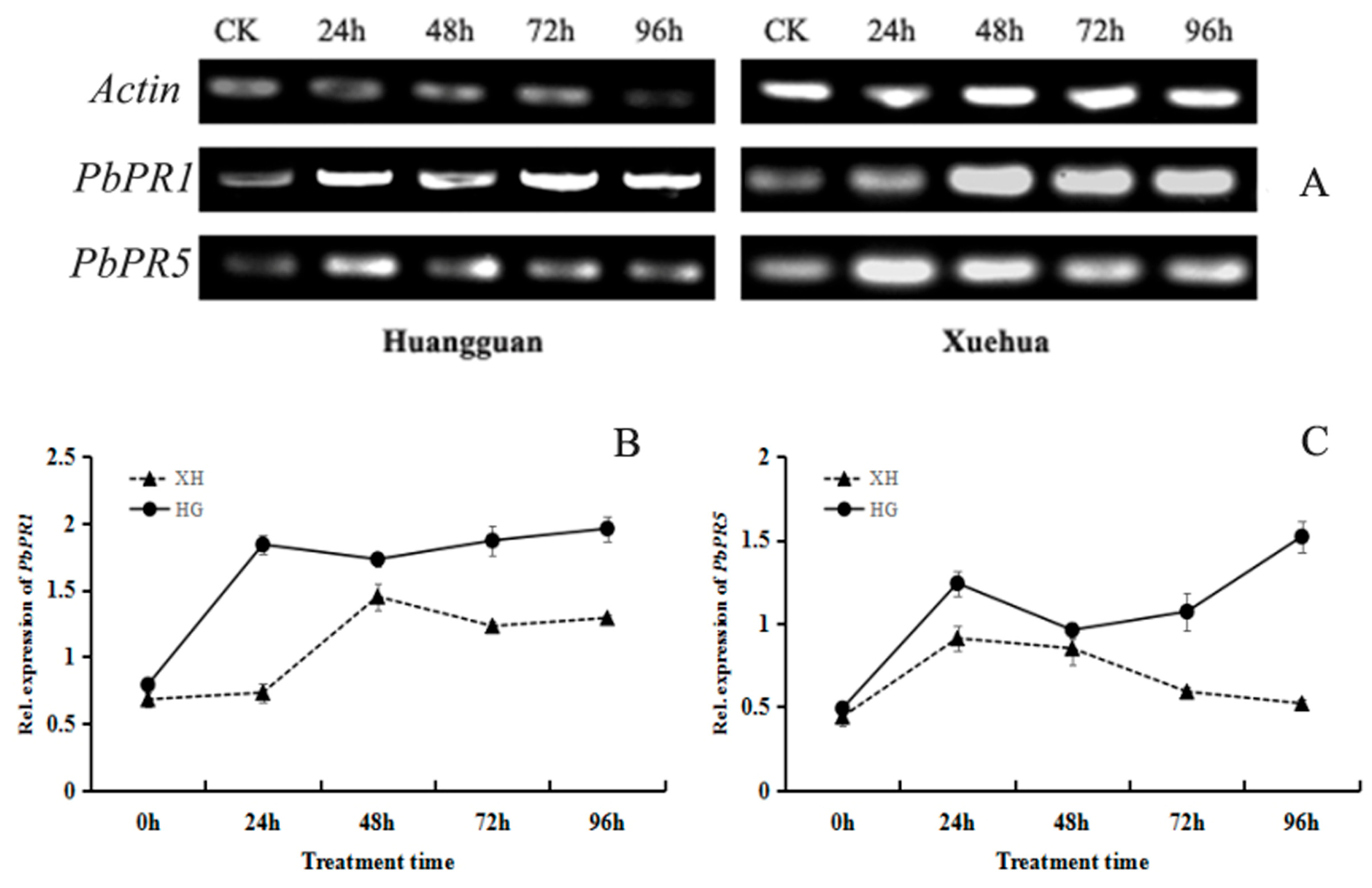 Agronomy 14 00877 g009 Agronomy 14 00877 g009