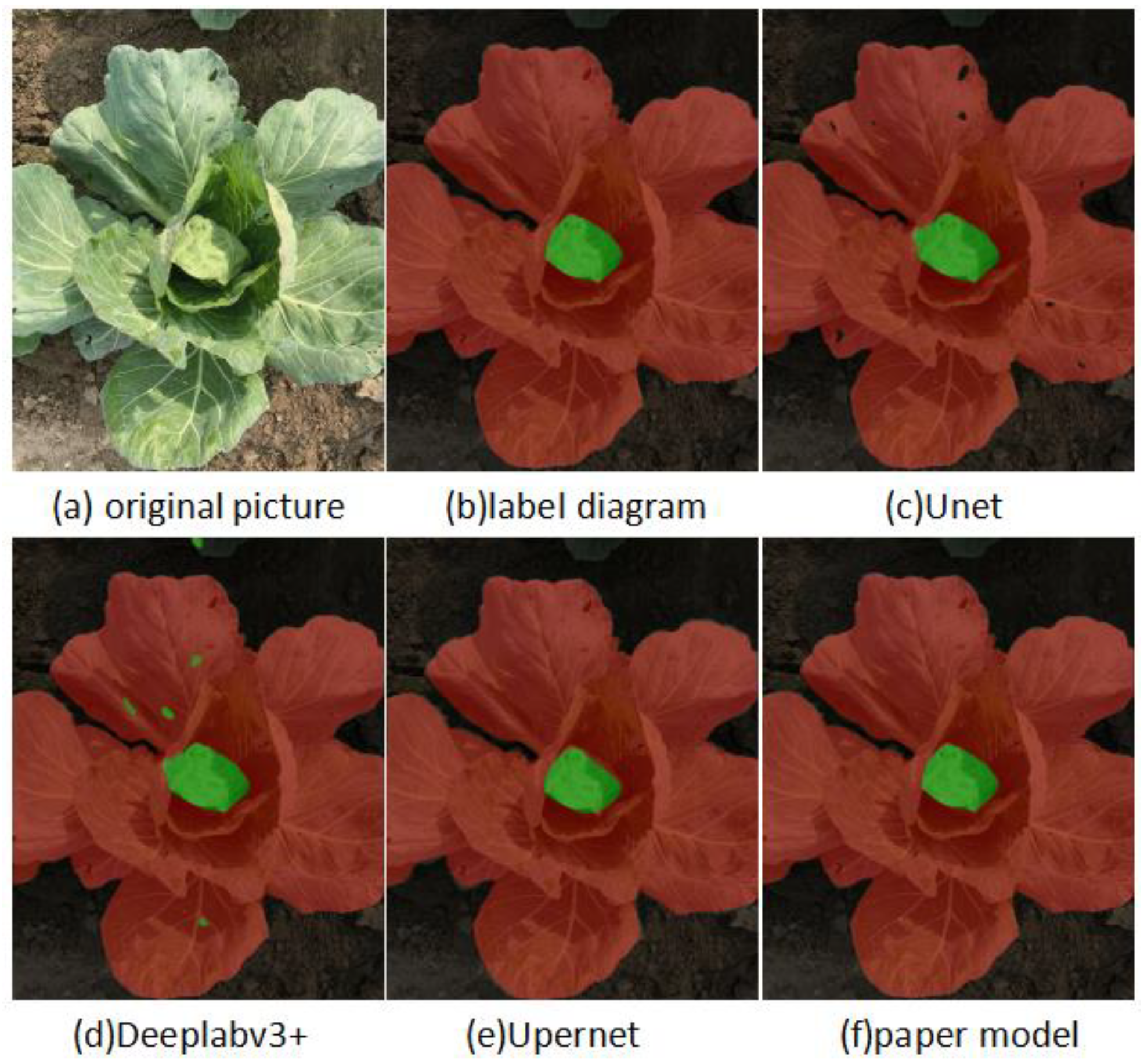 Agronomy 14 00894 g008