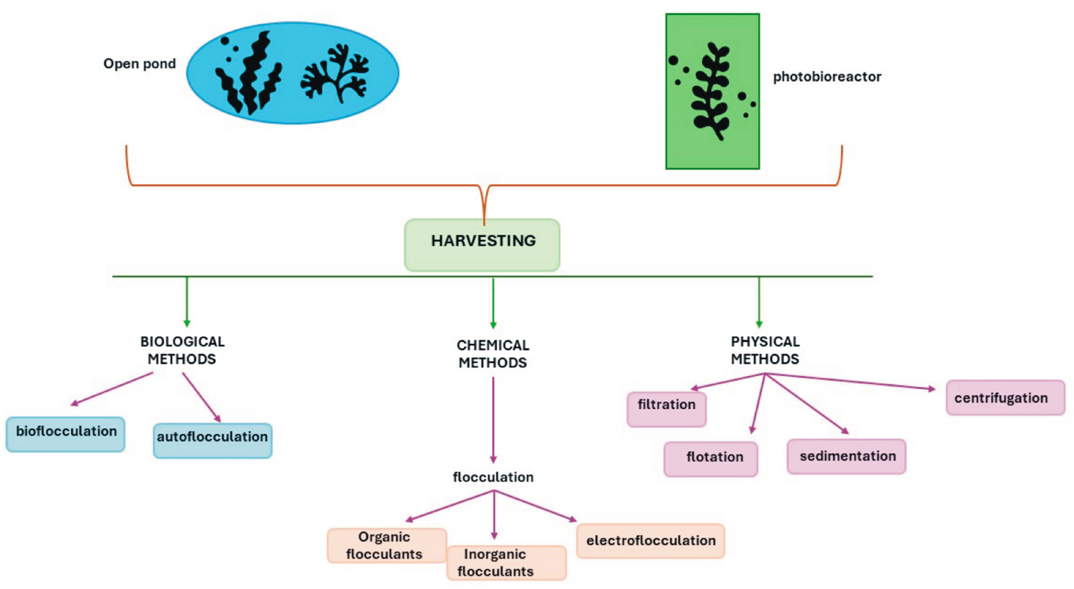 Agronomy 14 00895 g001