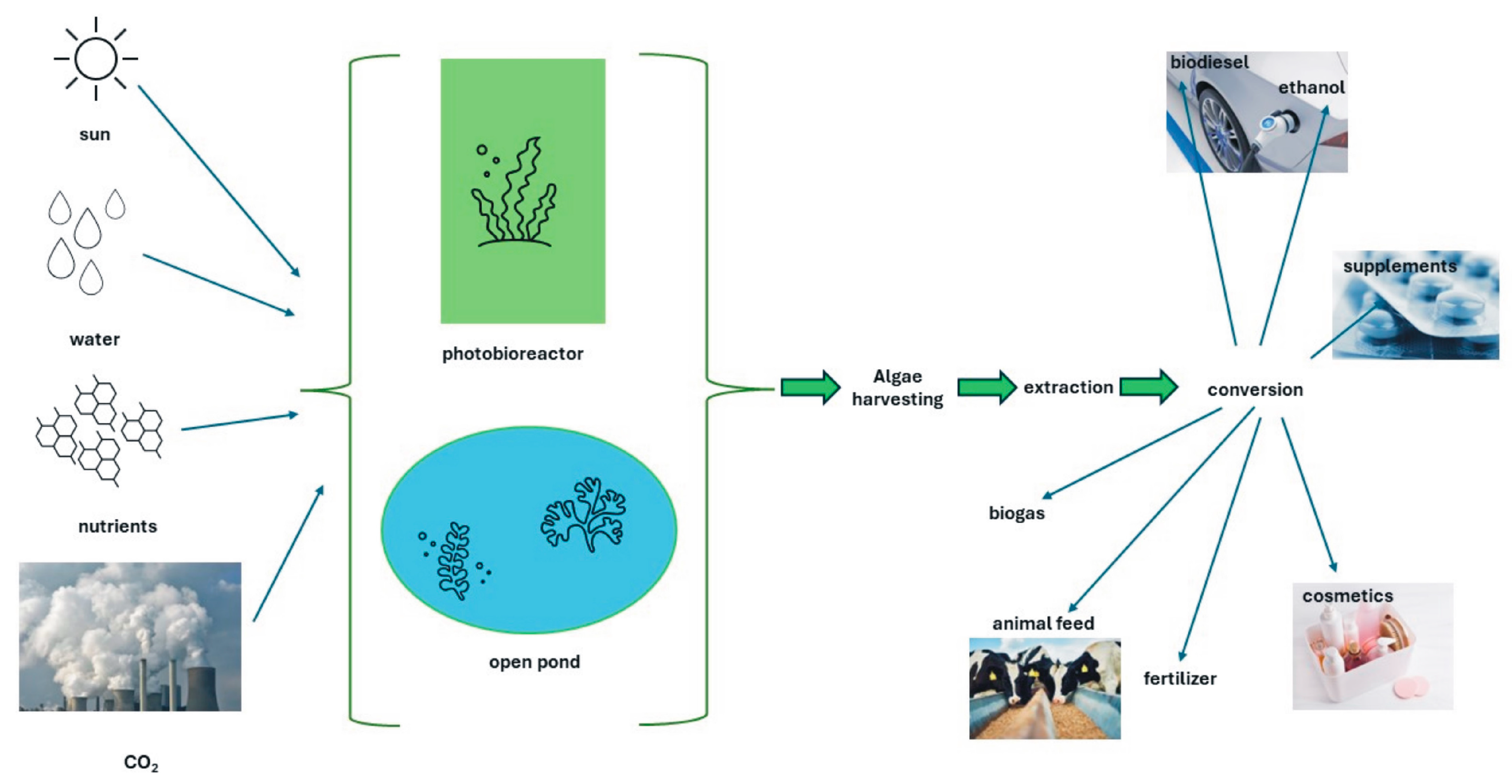 Agronomy 14 00895 g002