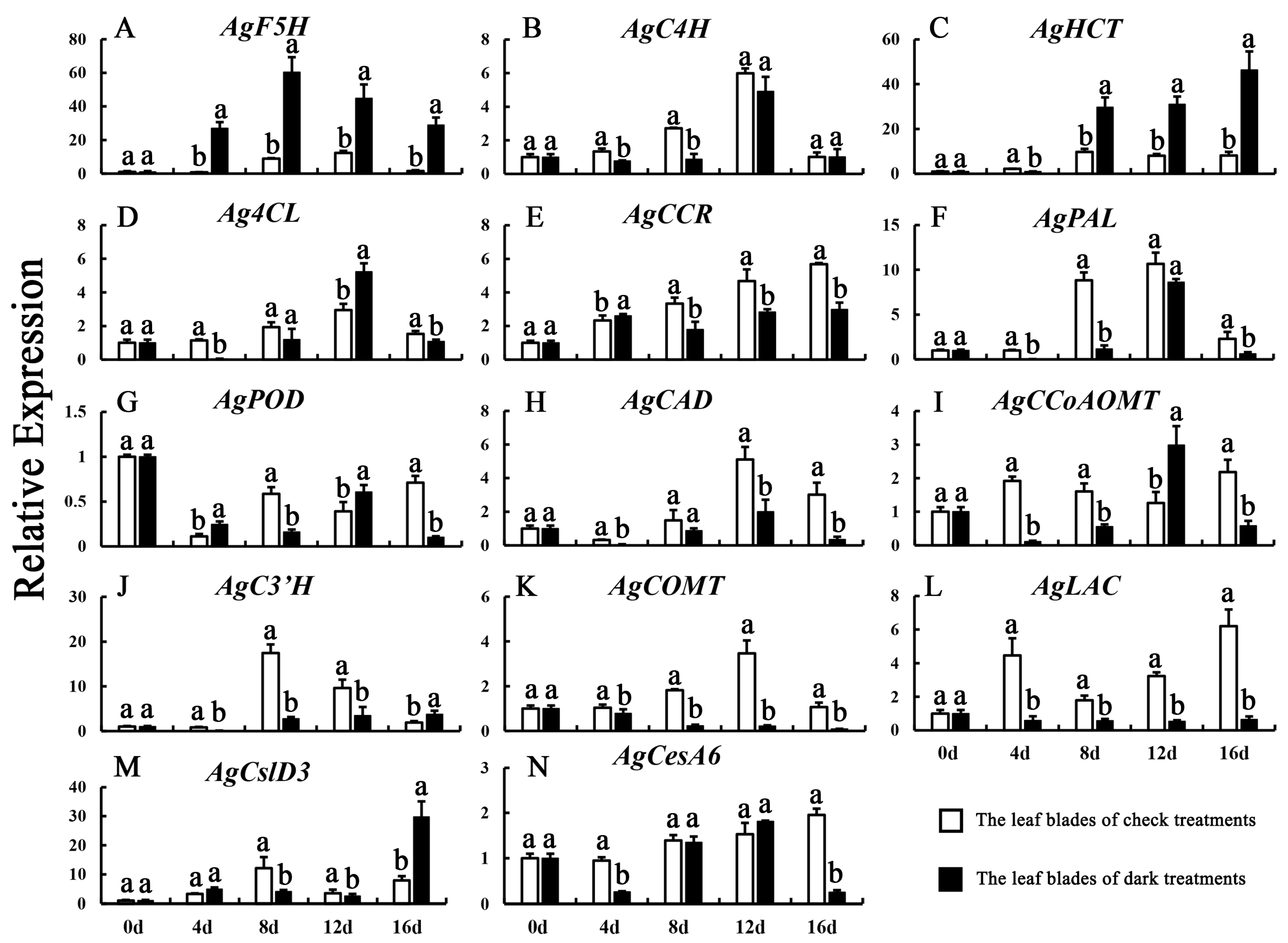 Agronomy 14 00896 g005