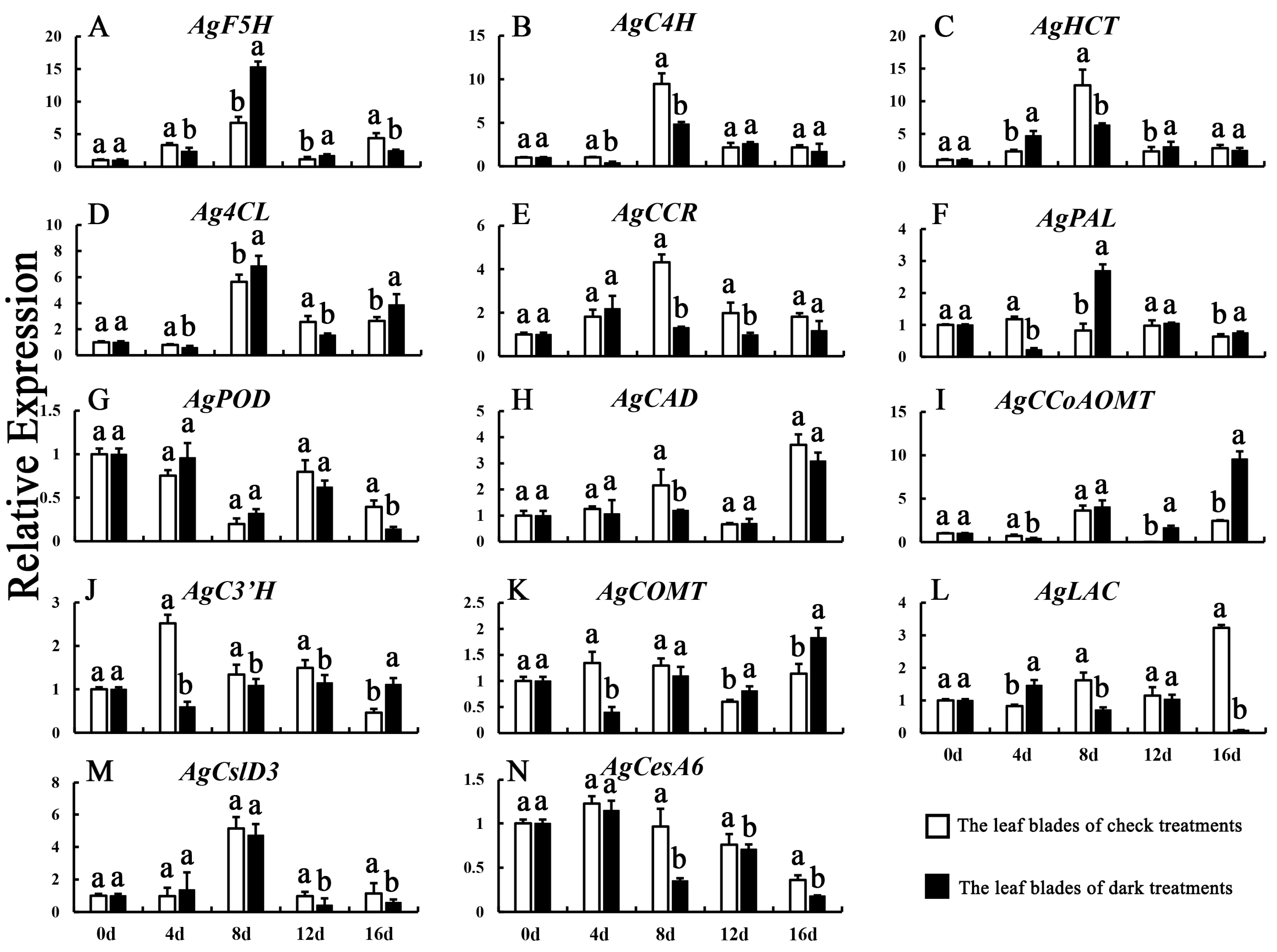 Agronomy 14 00896 g006